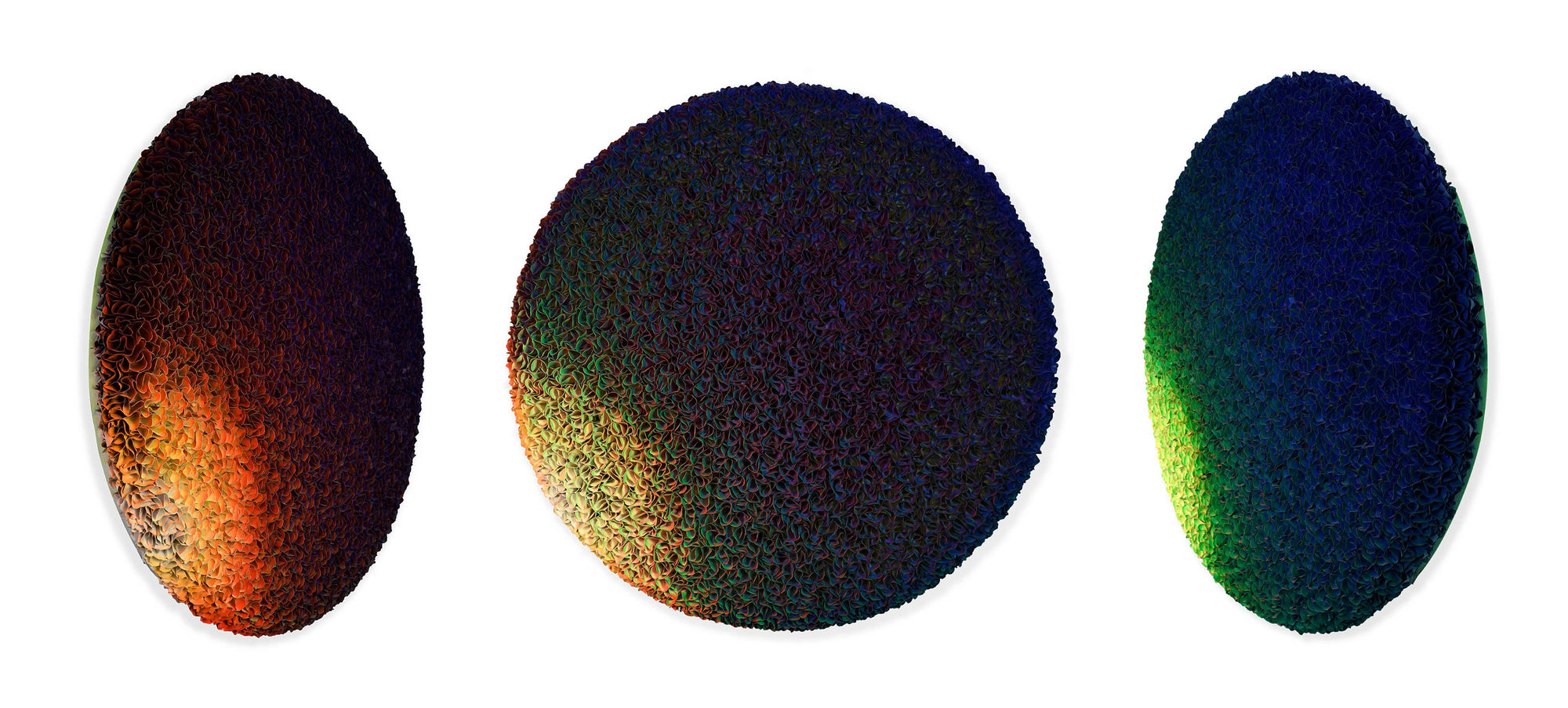 Zhuang Hong-yi, Sonata, 2024