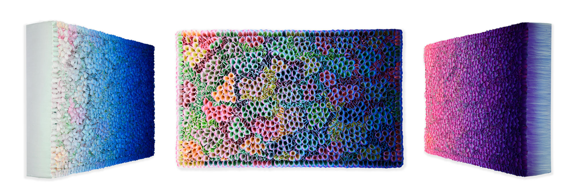 Zhuang Hong-yi, Coral, 2024