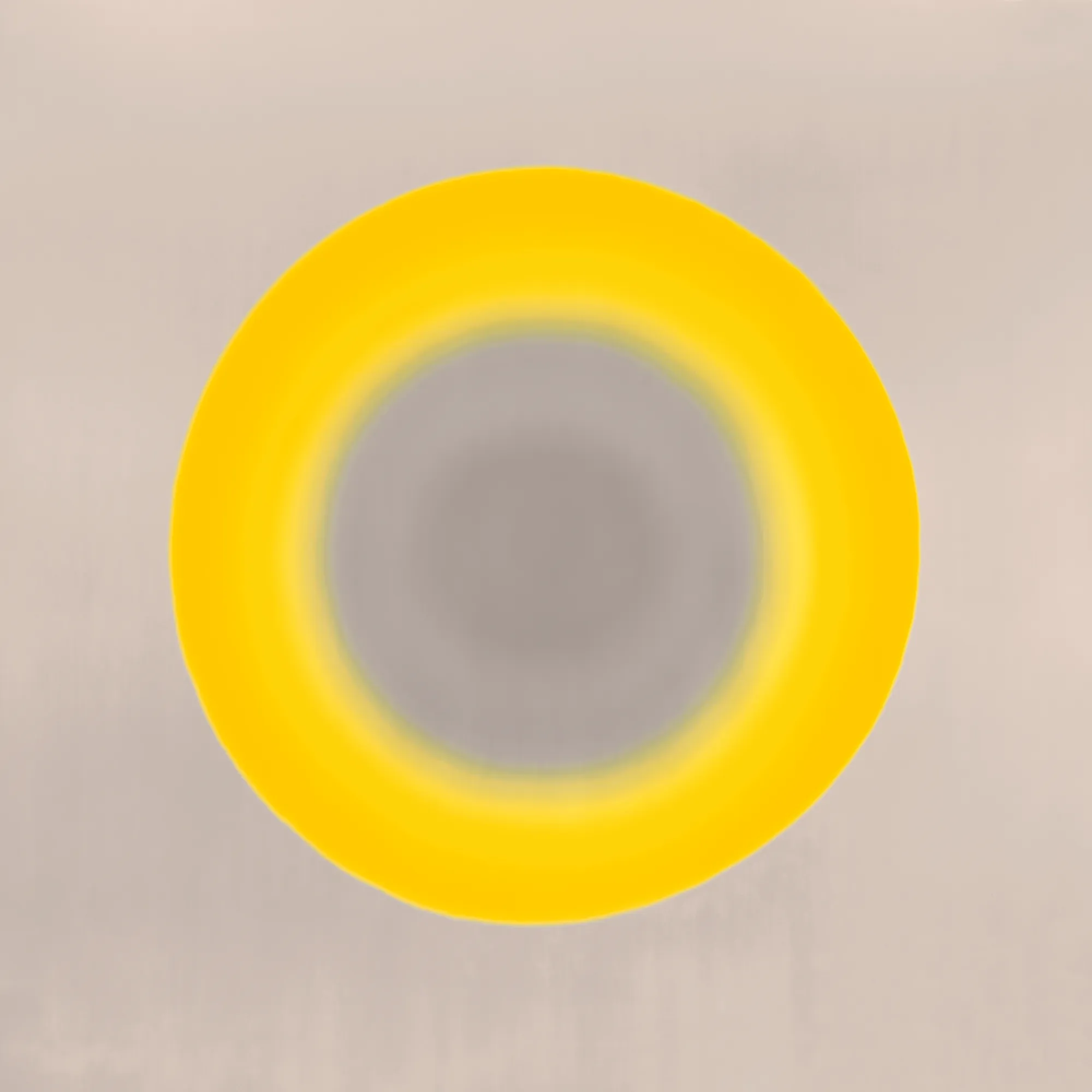 Garry Fabian Miller, There is no shadow, 2017