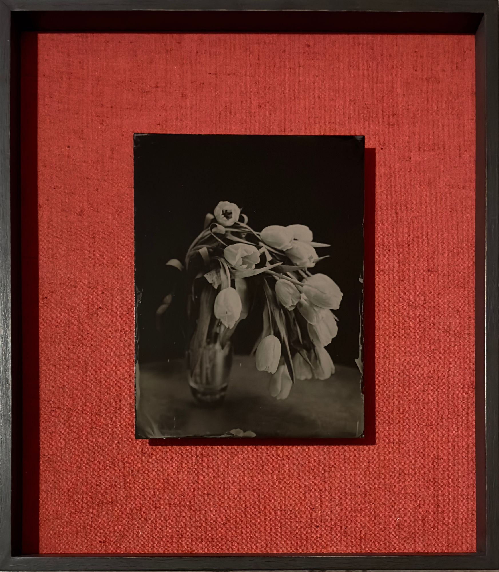 Steffen Diemer, Tulpen, WVZ 61, 2019