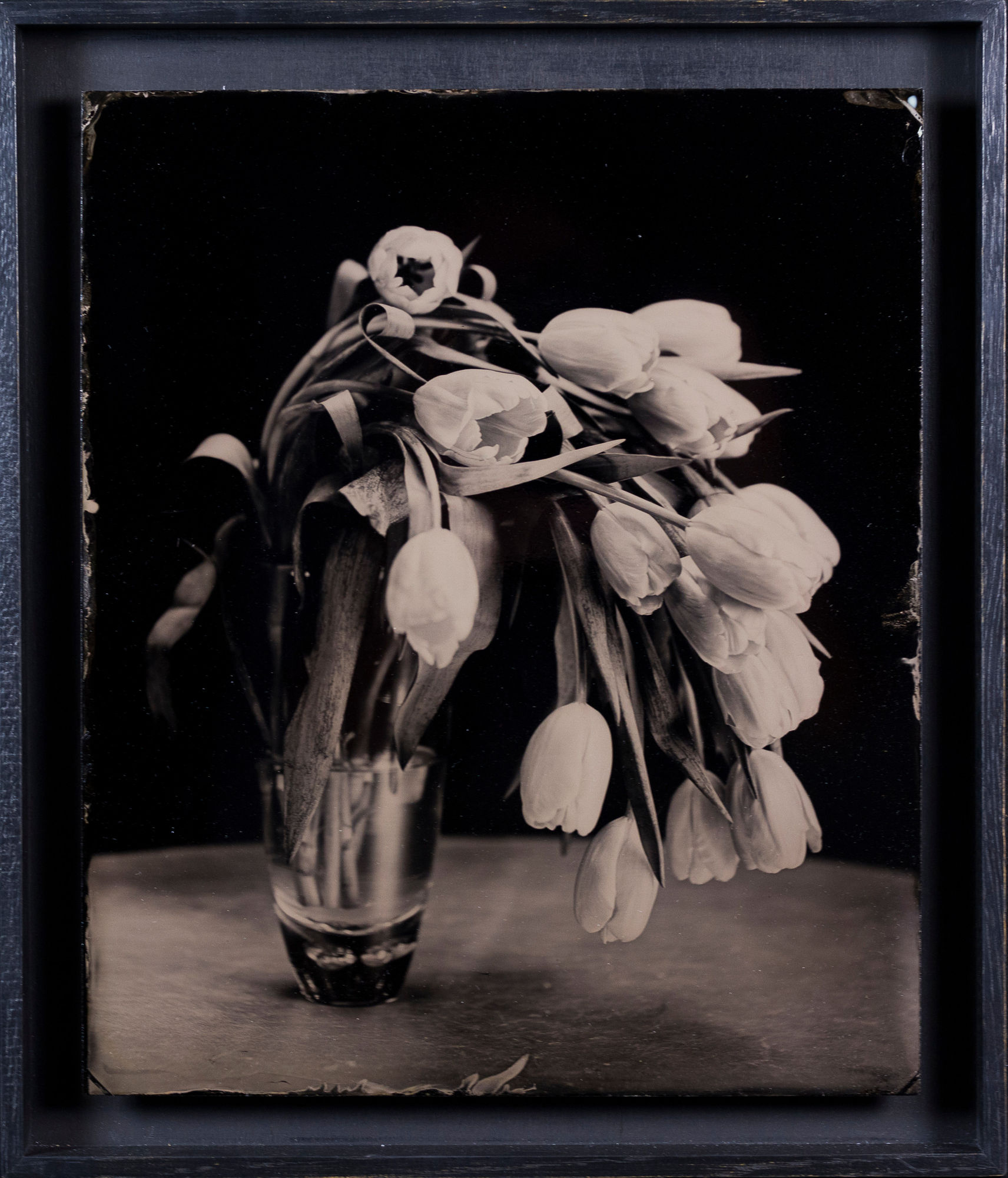 Steffen Diemer, Tulpen, WVZ 93, 2016