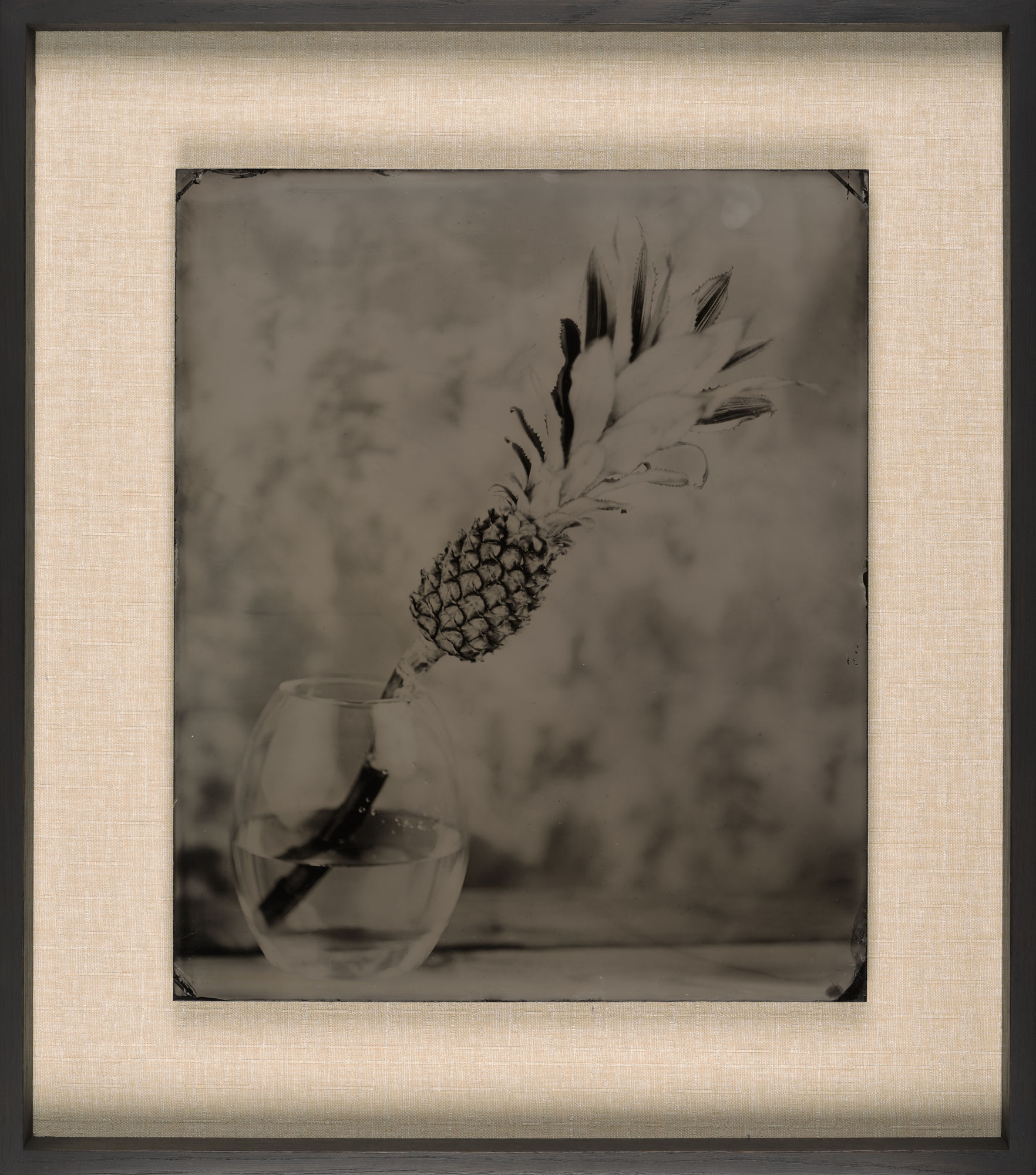 Steffen Diemer, Ananas, WVZ 202, 2015