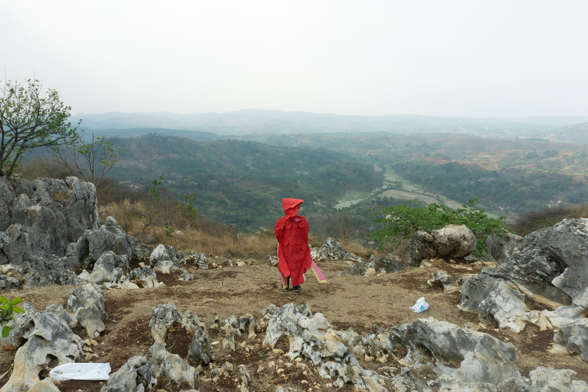 Agung Eko Sutrisno, A Tiger Who Stares at The Sunset II, 2019