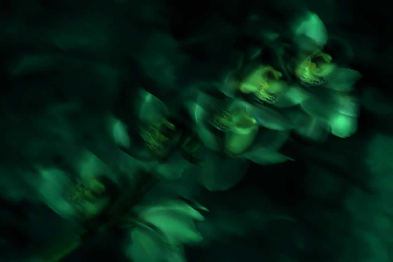 Nico Dharmajungen, Voices of Silence, 1998