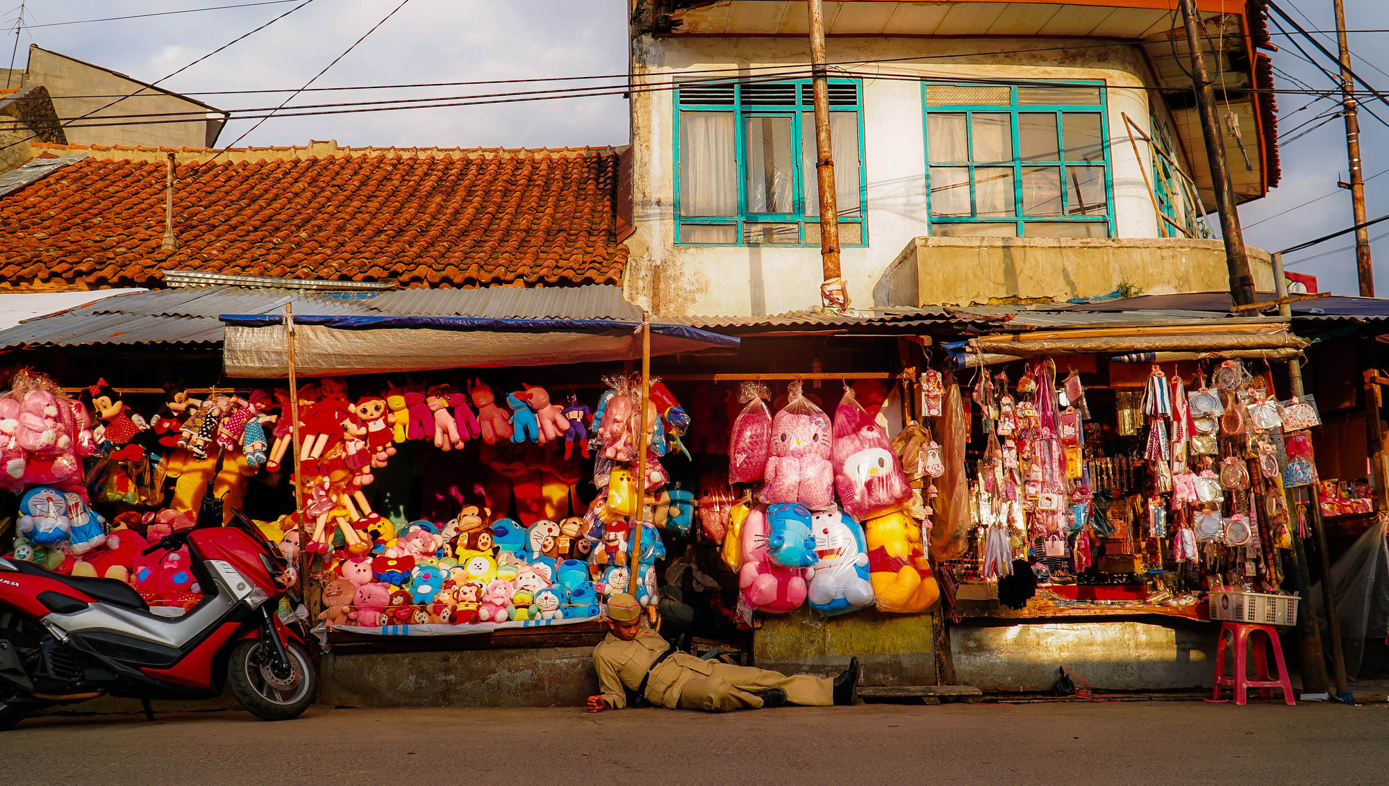Agung Eko Sutrisno, A Brief History of Cicadas