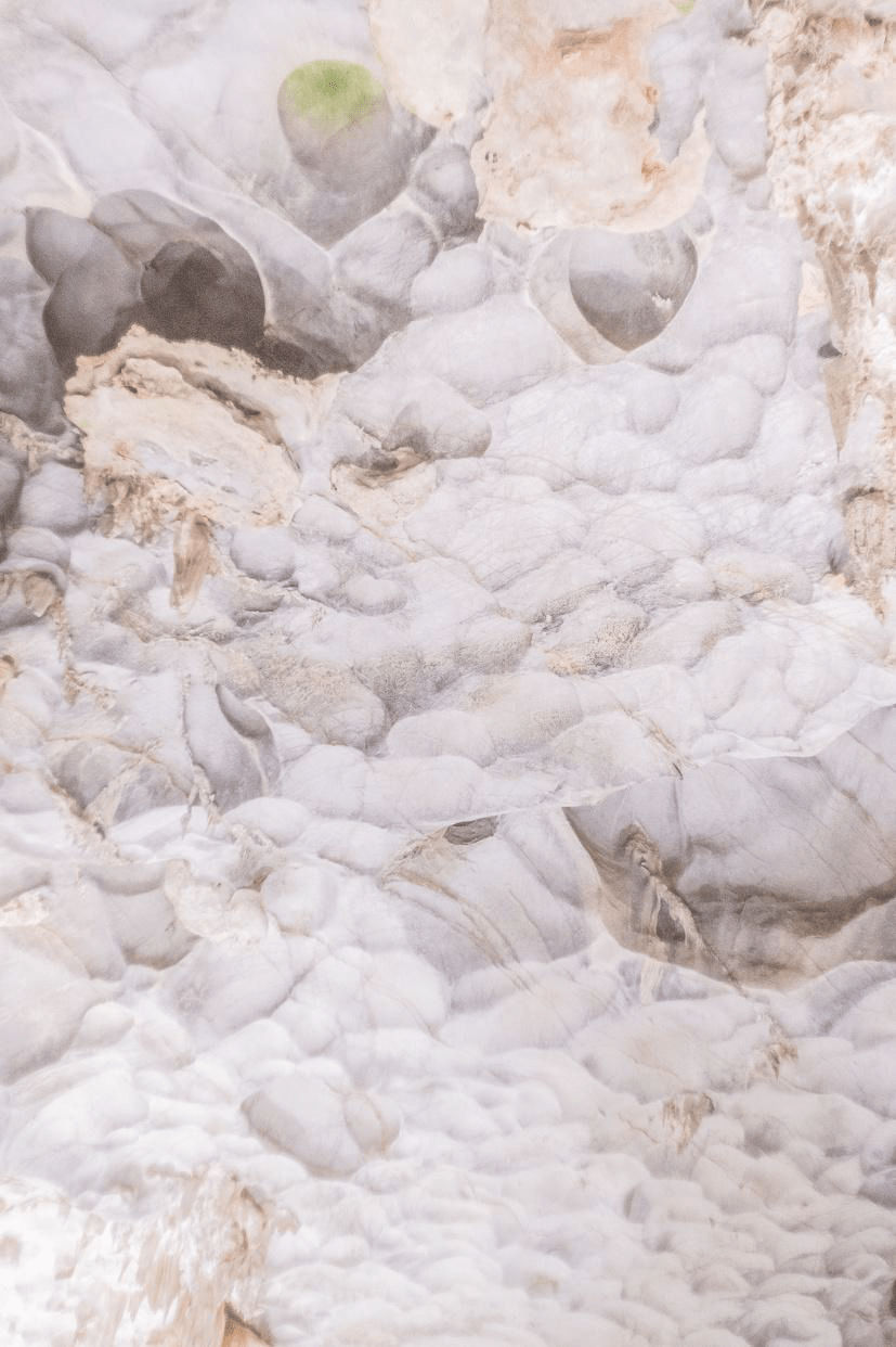 Evelyn Pritt, Terra #5, 2019