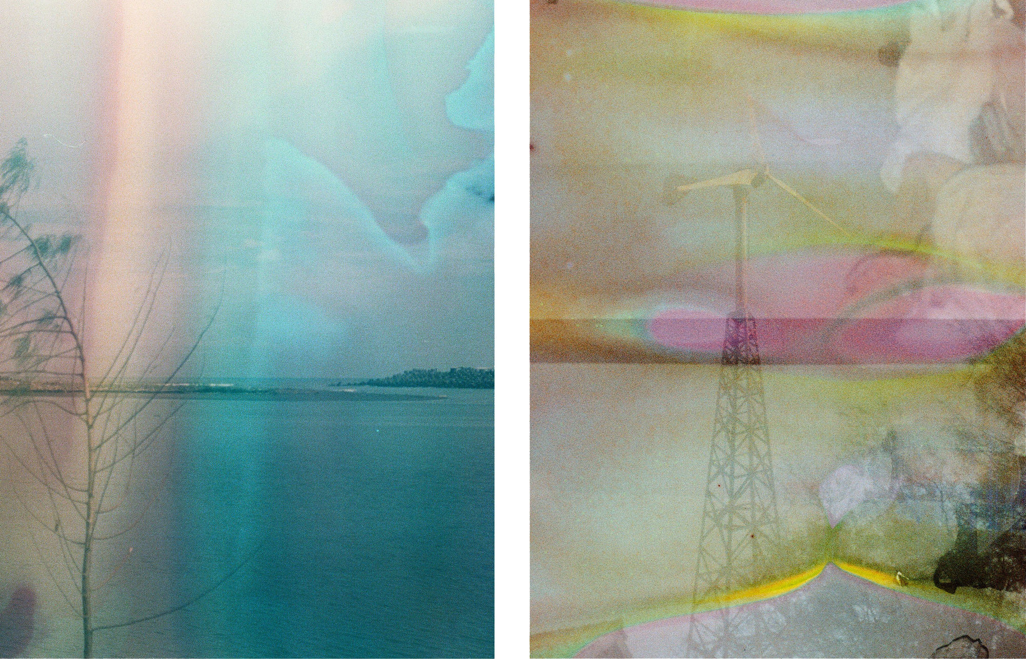 Reza kutjh, In Full Bloom , 2021