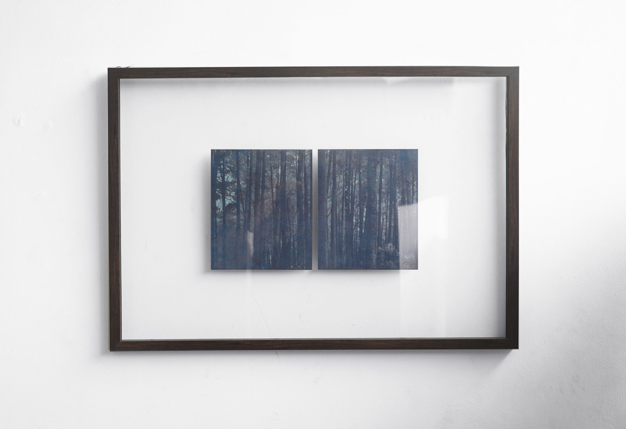 Alexander Sebastianus, Setubuh Hutan #3, 2021