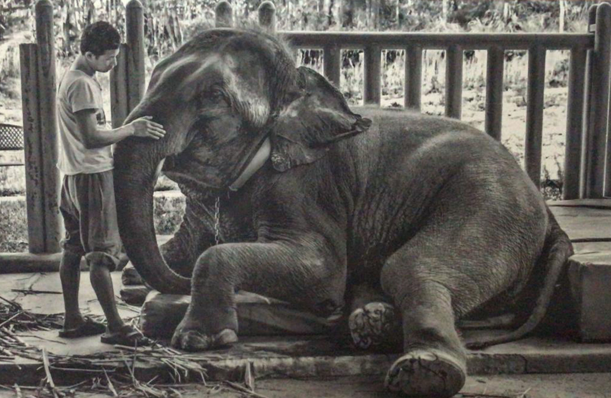 Dilla Djalil Daniel, Mosha the Star, 2016