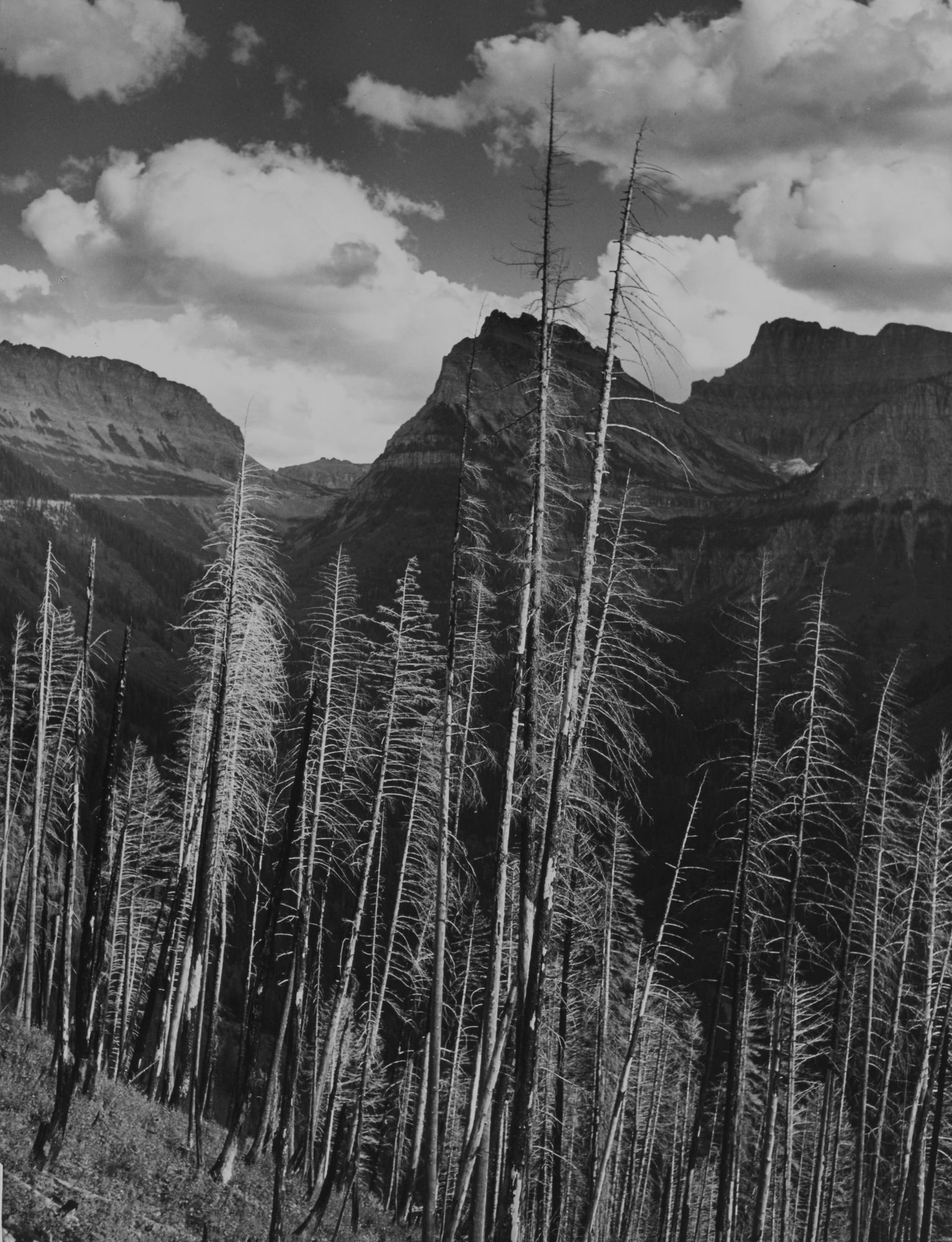 Marion Post Wolcott, FSA #58037-D, 1944