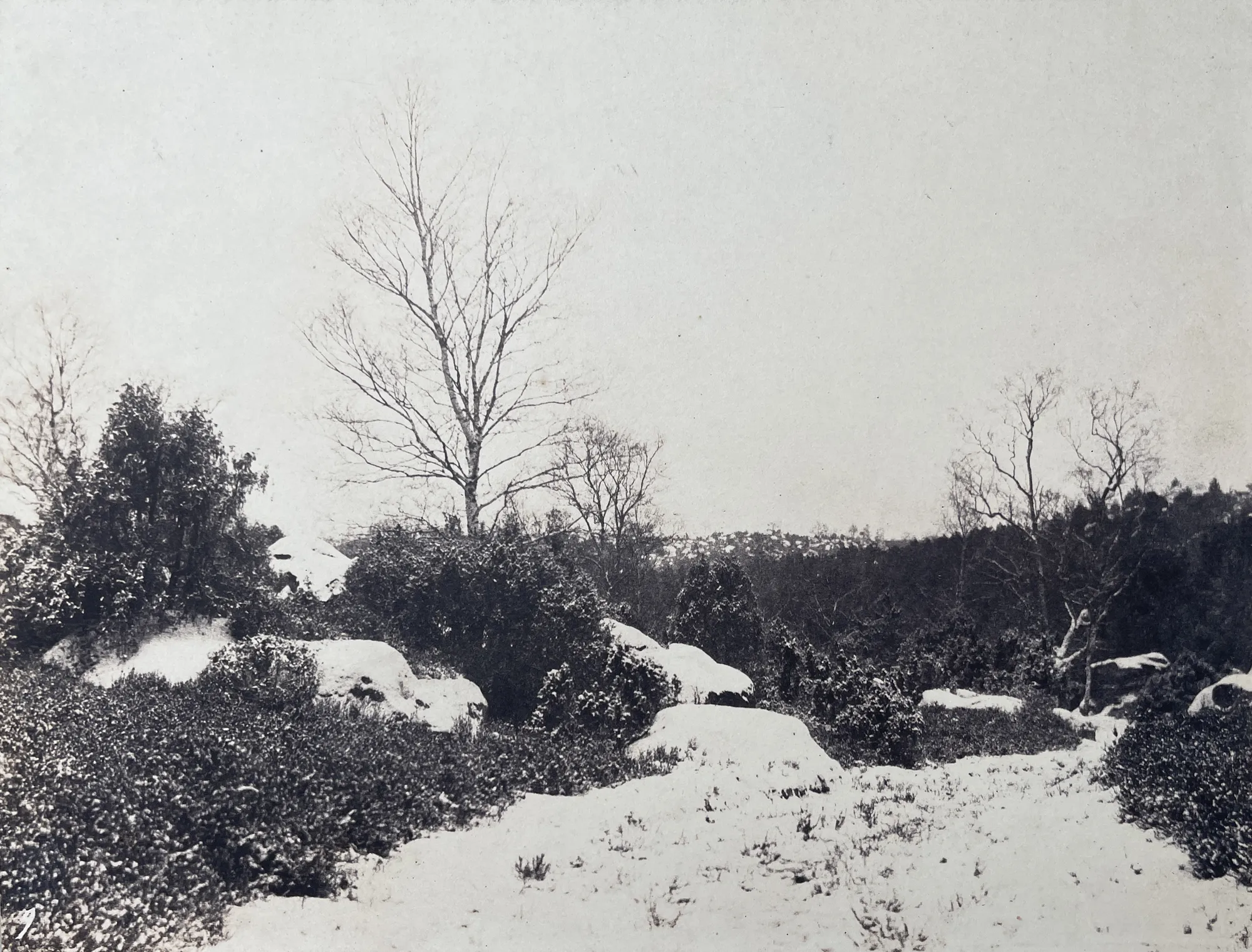 Eugene Cuvelier, Foret de Fontainebleau, sous-bois, sous la neige, 1863