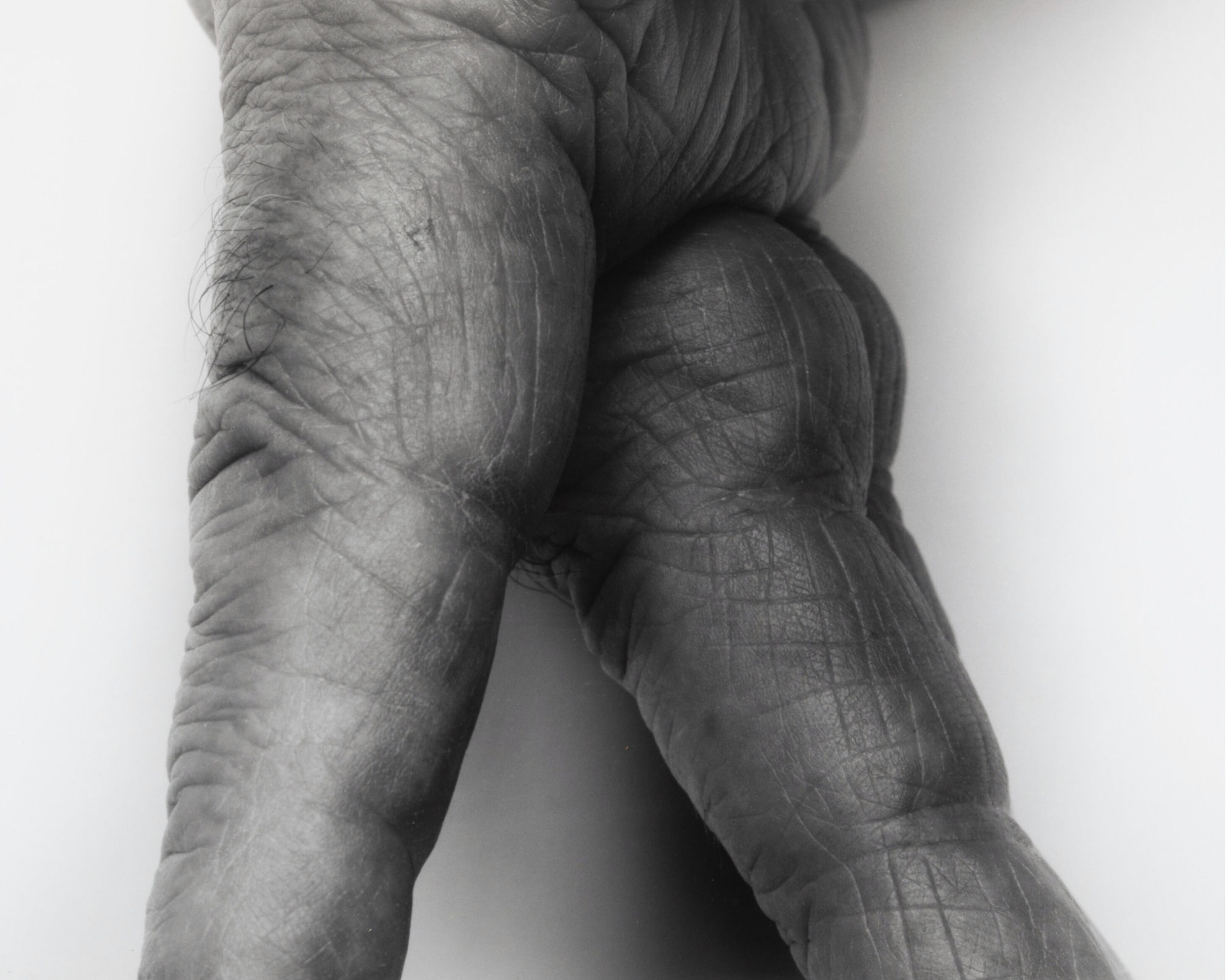 John Coplans, Self Portrait, Fingers Walking, 1999