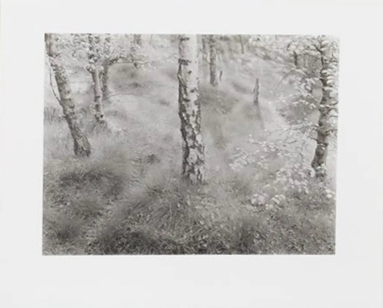 John Blakemore, Ambergate, Derbyshire, 1978