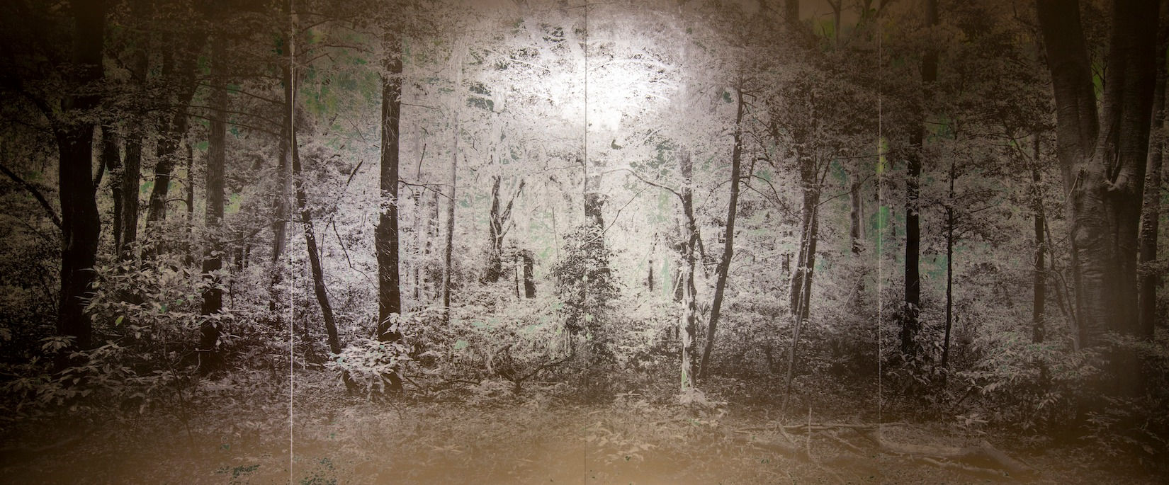 Masayoshi Nojo, Mirage#48, 2019