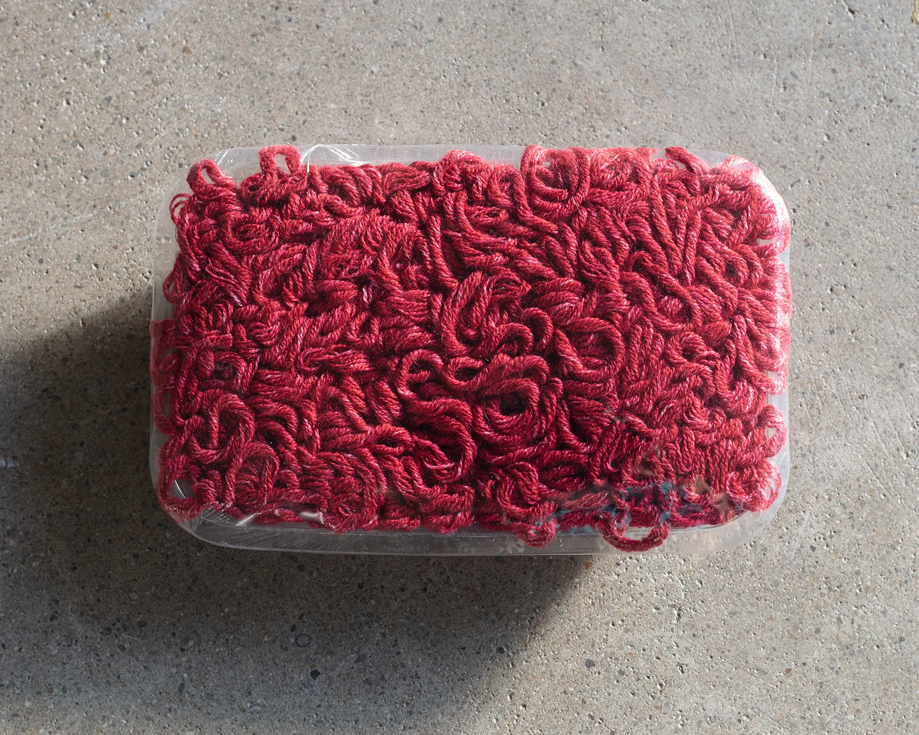 Erica van Zon, Mince, 2025