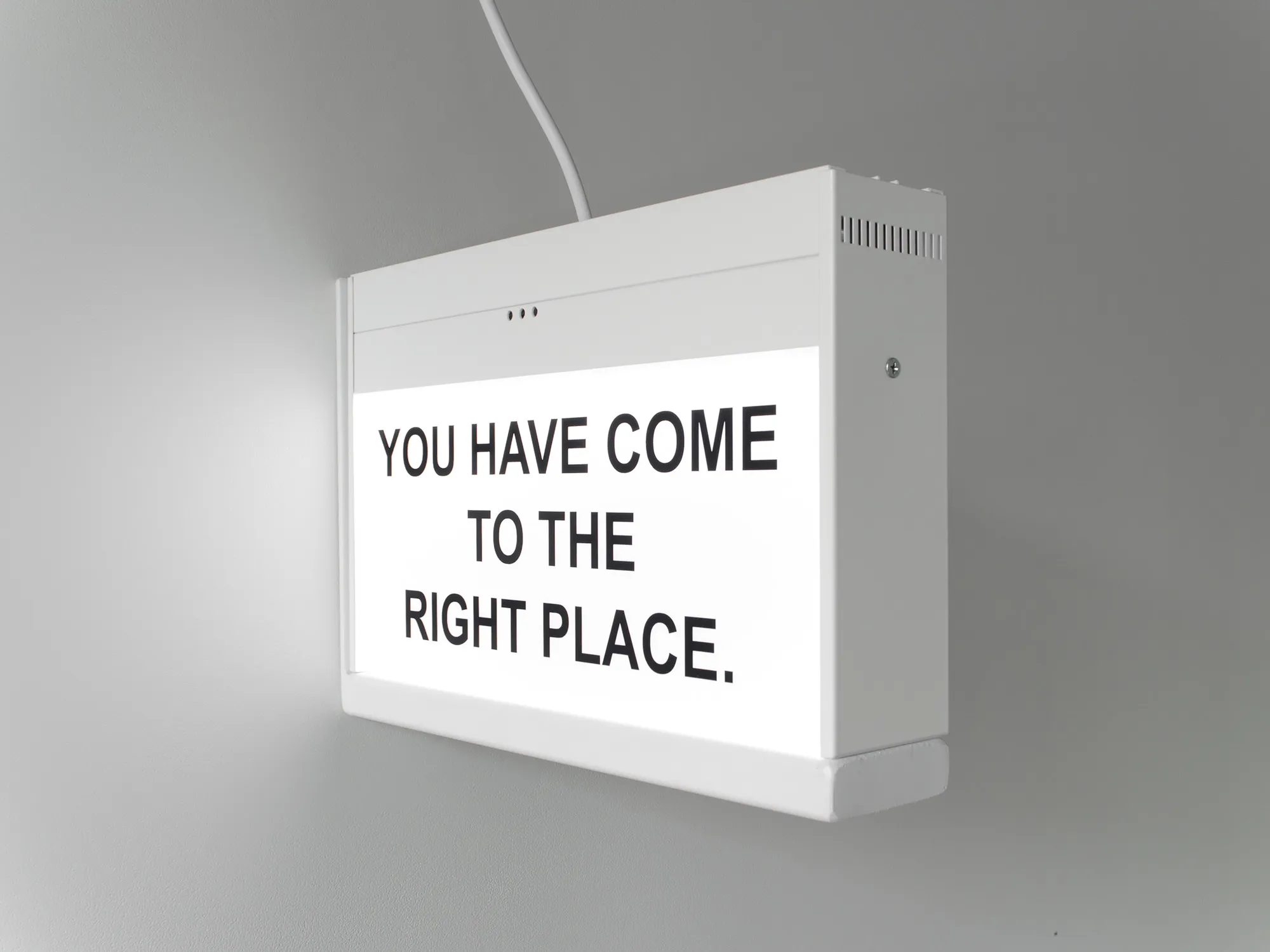 Elisabeth Pointon, YOU HAVE COME TO THE RIGHT PLACE., 2020