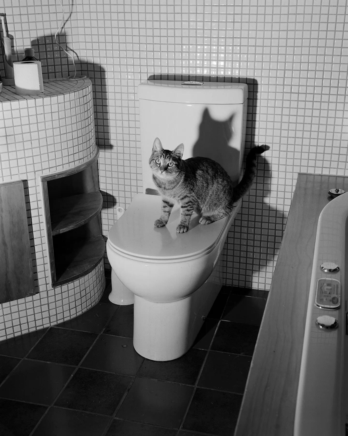 Harry Culy, Untitled (Bruce Avenue), 2024