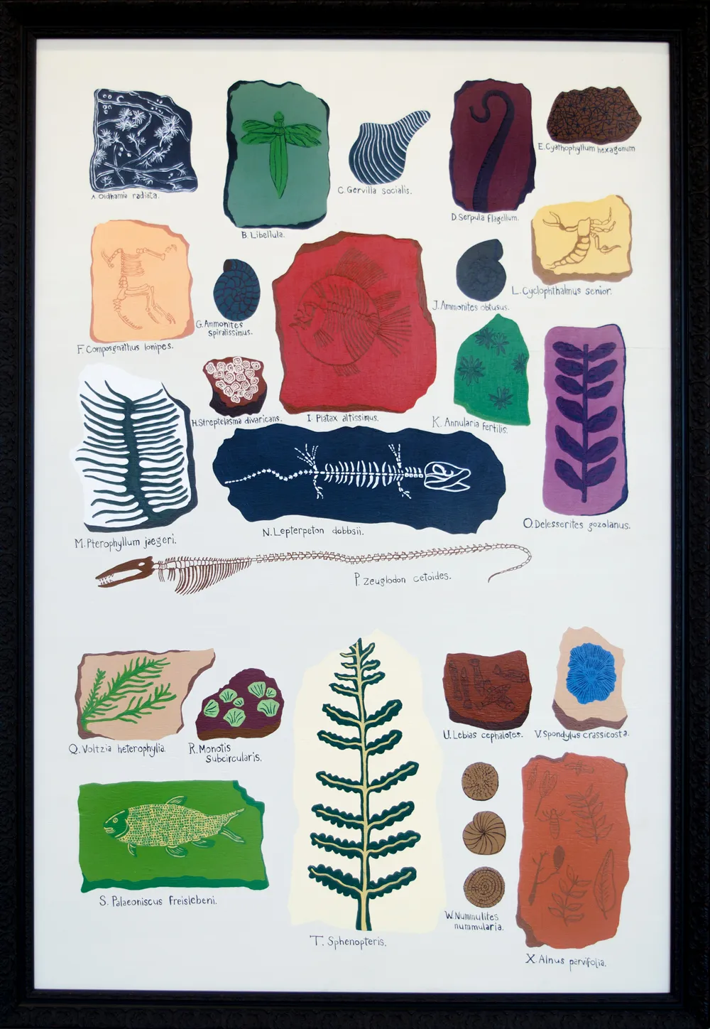 Ayesha Green, Fossils (Things in the Ground), 2019