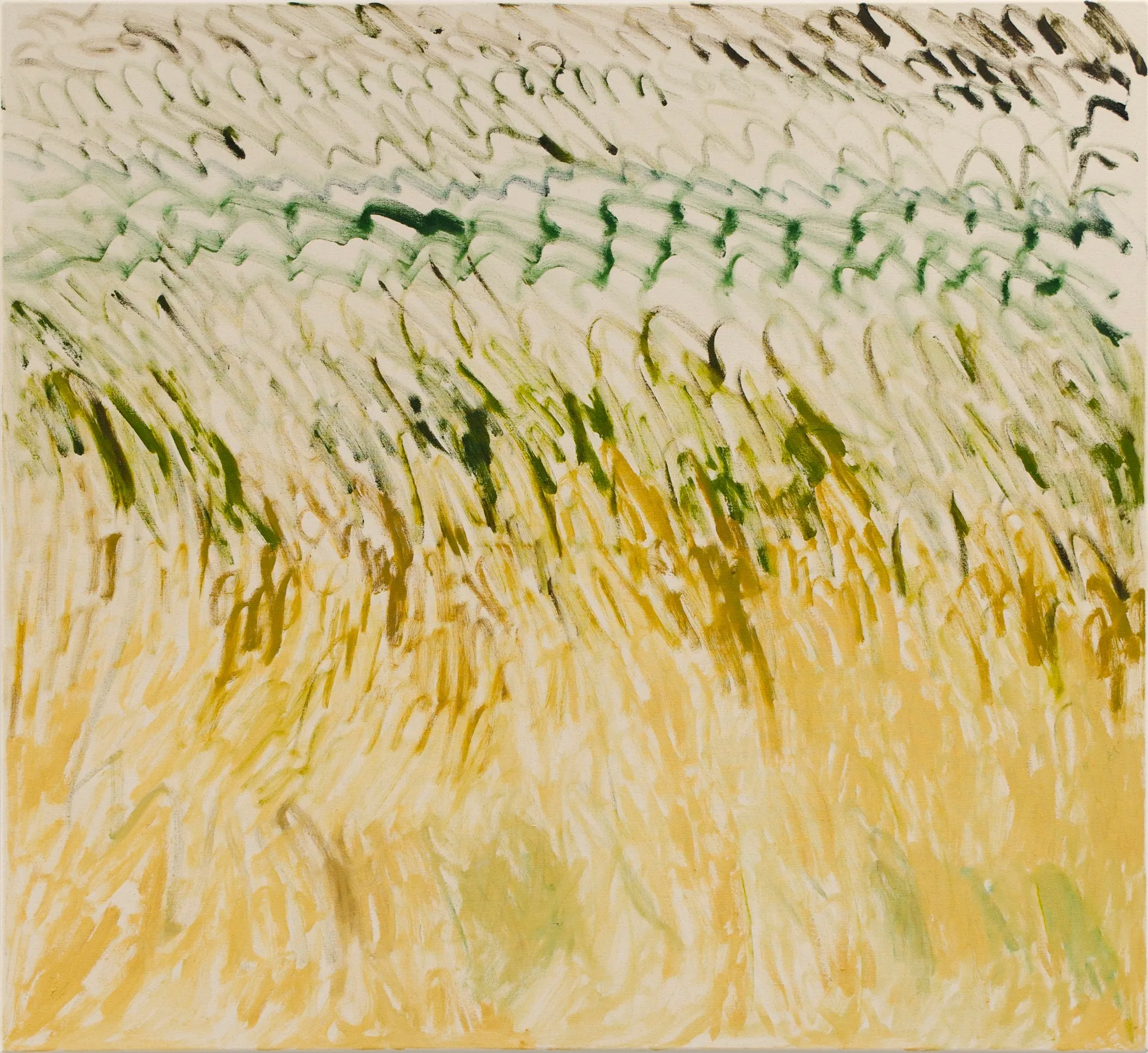 Ruby Wilkinson, Orchestra 3, 2022