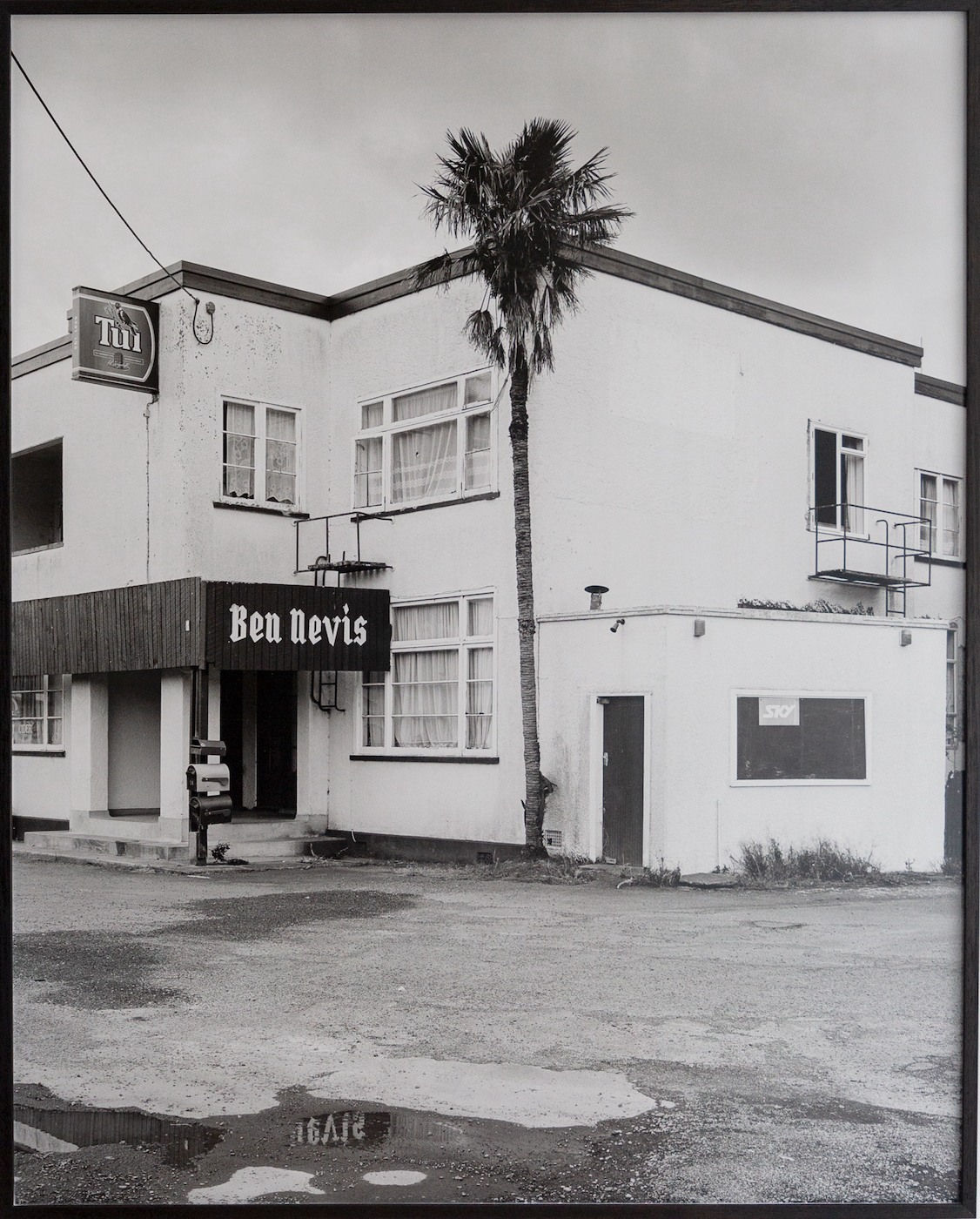 Harry Culy, Untitled (Ben Nevis), 2019