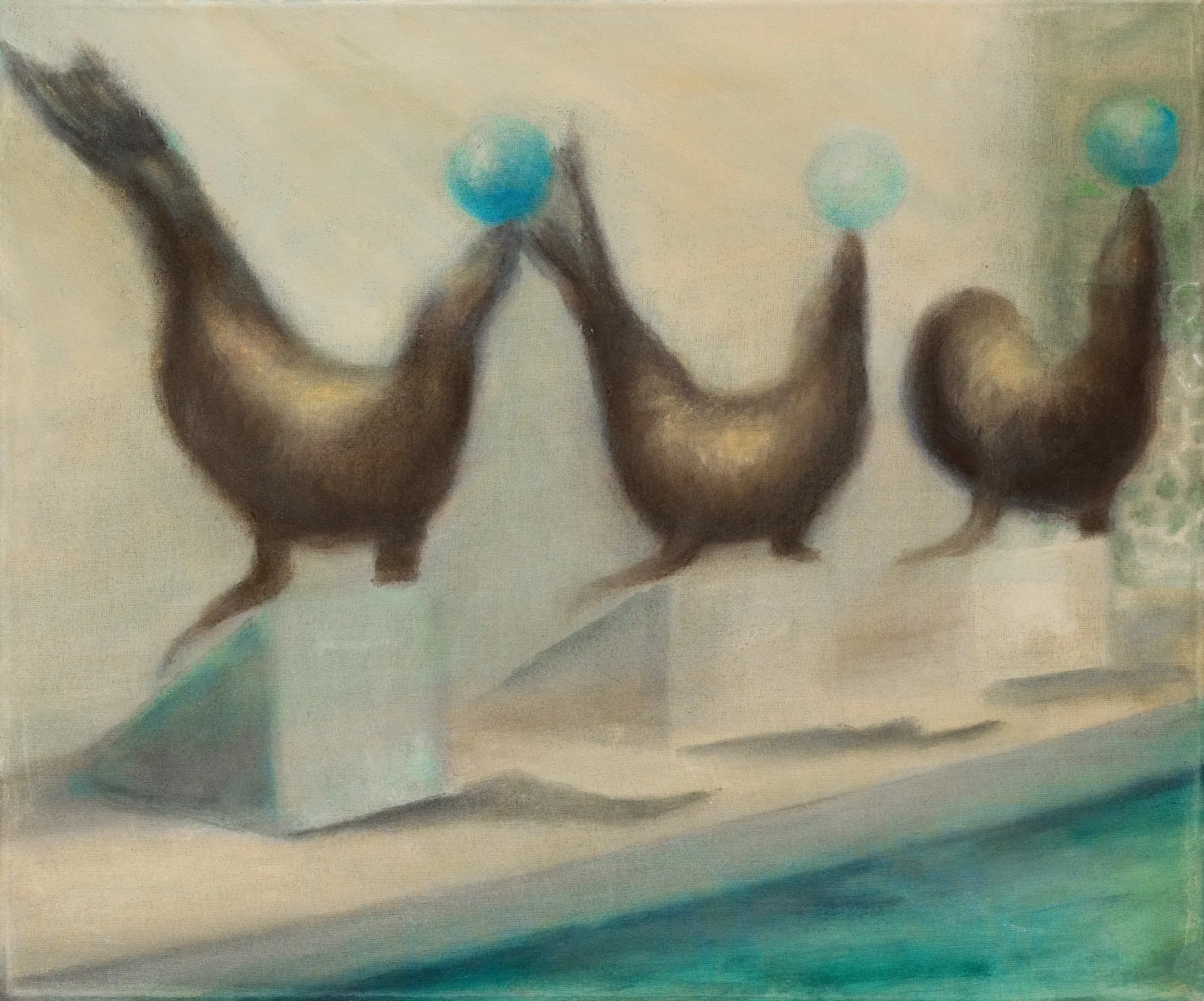 Steph Arrowsmith, Sea World Training College, 2025