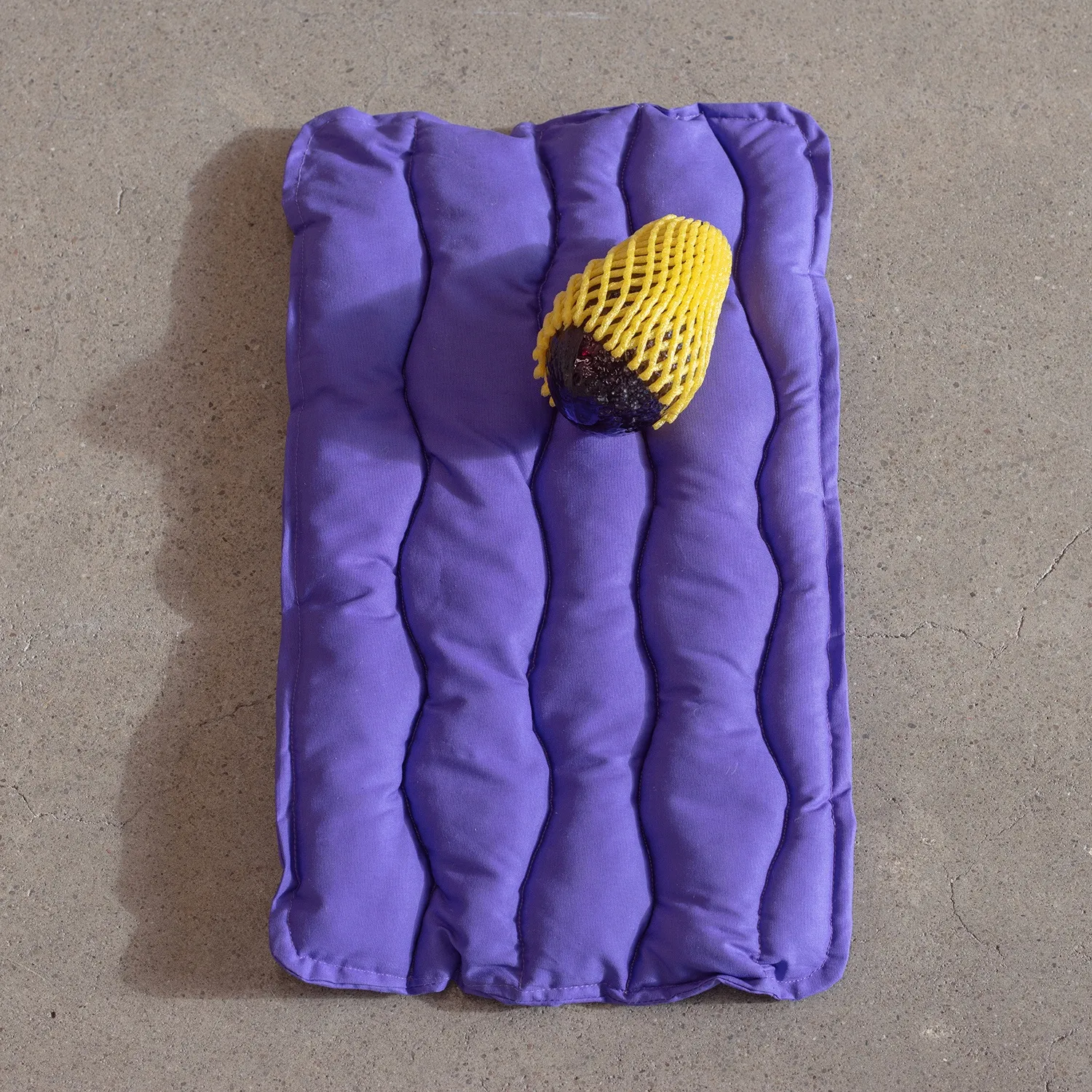 Erica van Zon, Avocado Birth, 2025