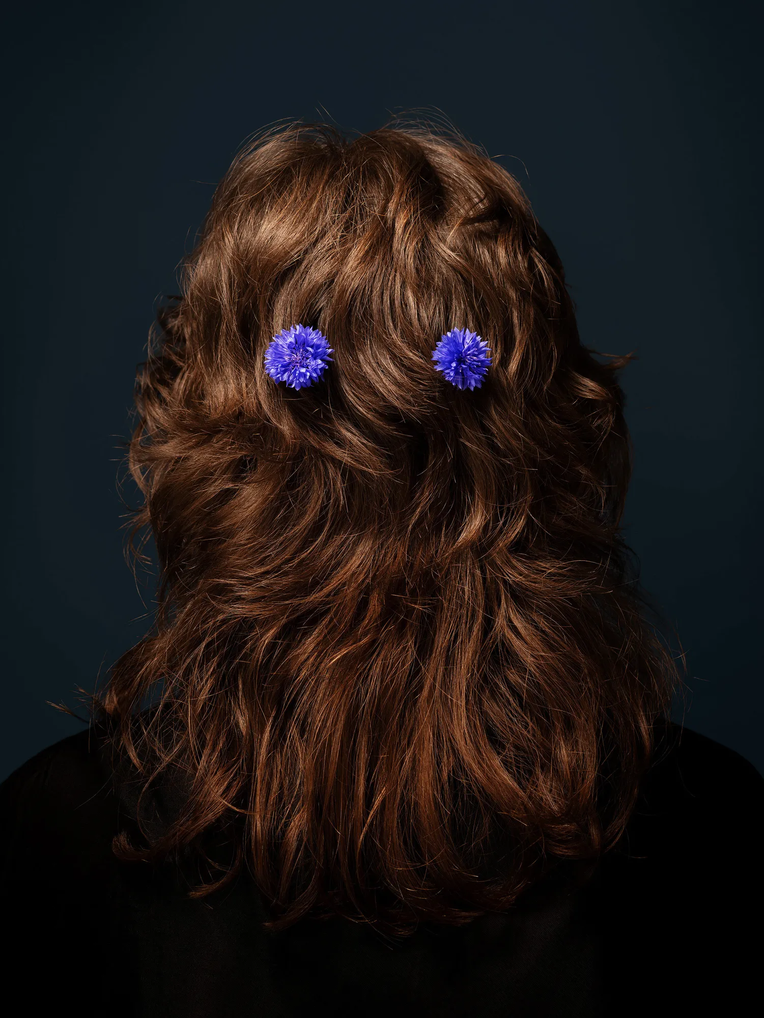 Ann Shelton, The loss of the oracle (Cornflower, Bluebot- tle, Hurtsickle, Bachelor’s Buttons, Blue- bow, Blue Cap), 2022 ongoing