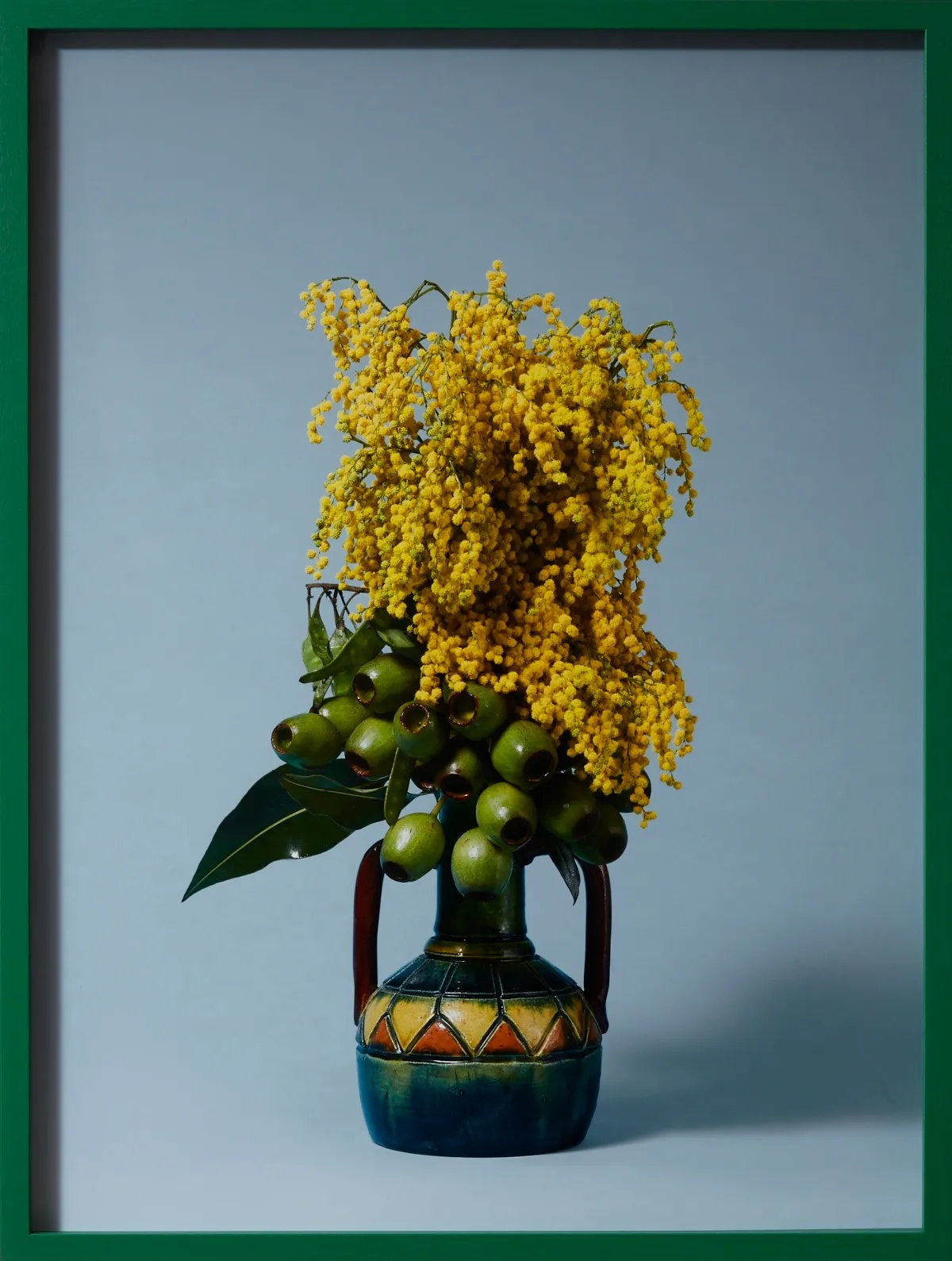 Ann Shelton, The Banshee, Golden Wattle (Acacia pycnantha sp.), 2017