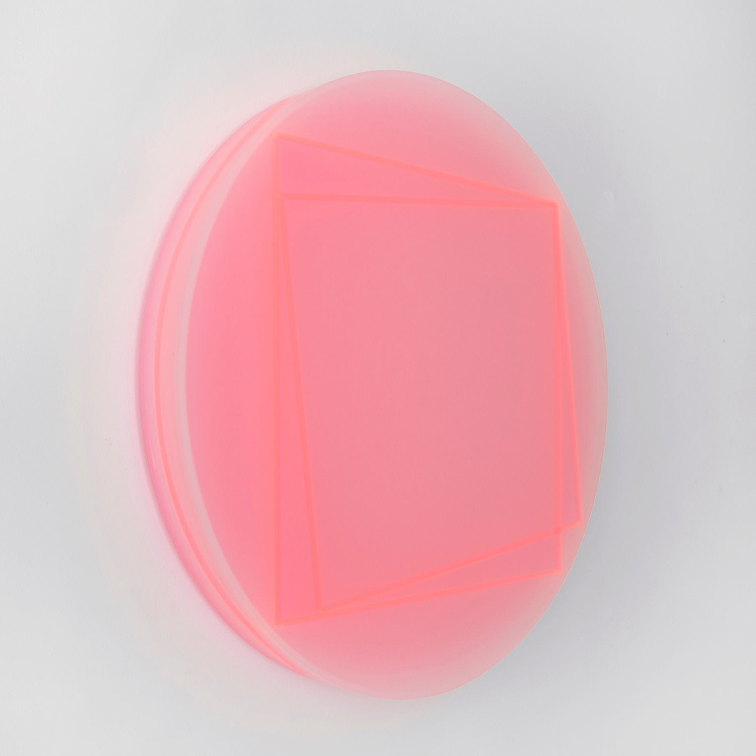 Kāryn Taylor, Multiverse, 2021