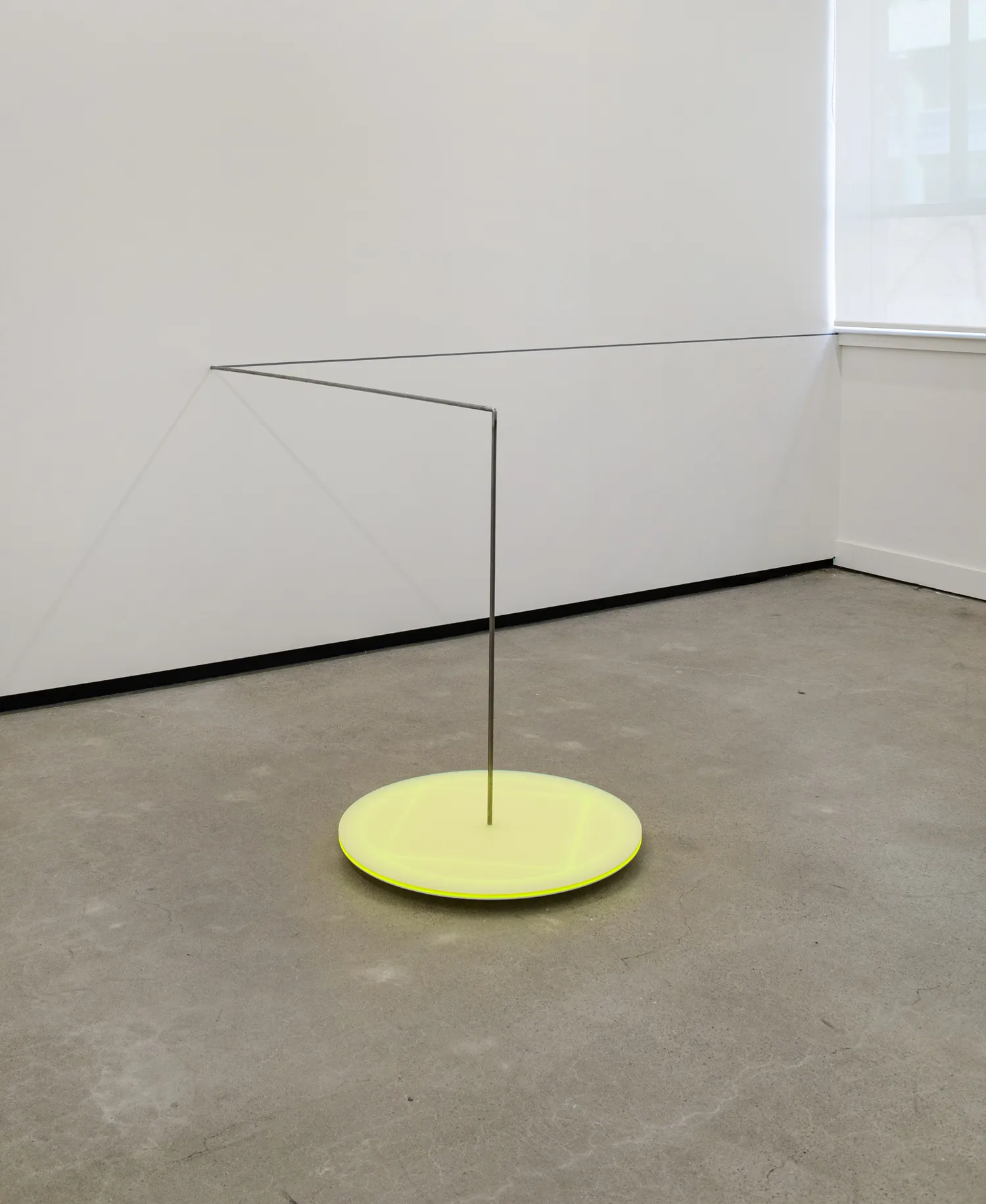 Kāryn Taylor, Fllor disc, 2021