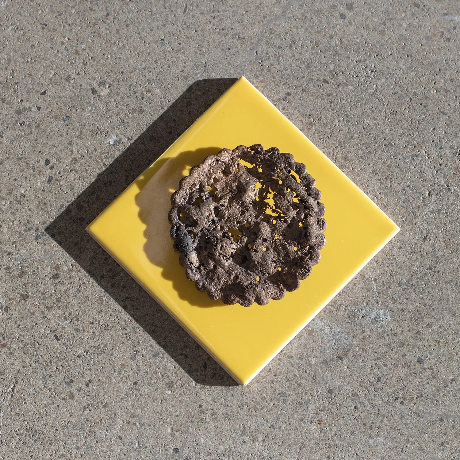 Erica van Zon, Nothing compares to you, 2017