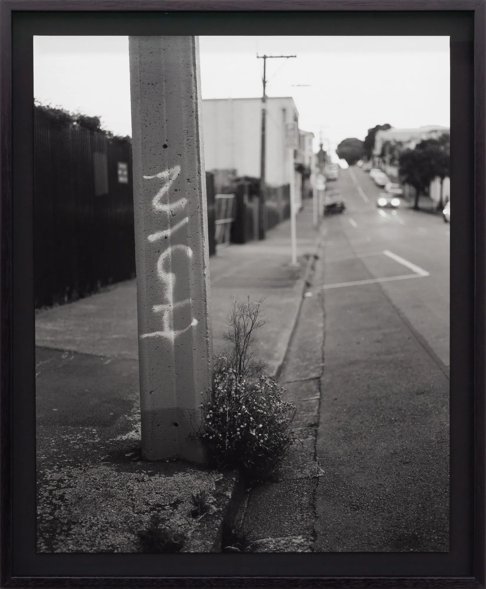 Harry Culy, Untitled (Nigh), 2021