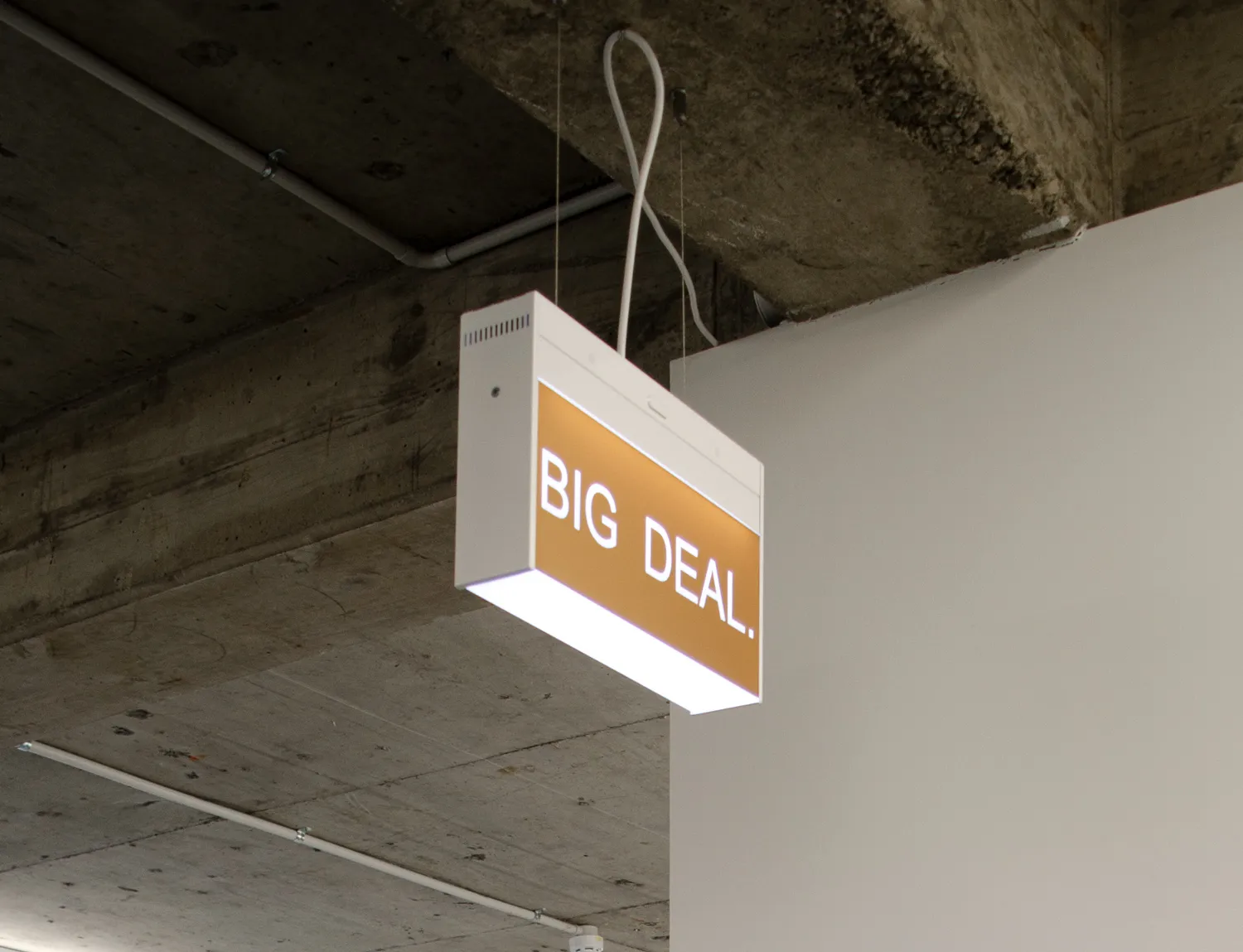 Elisabeth Pointon, BIG DEAL., 2020