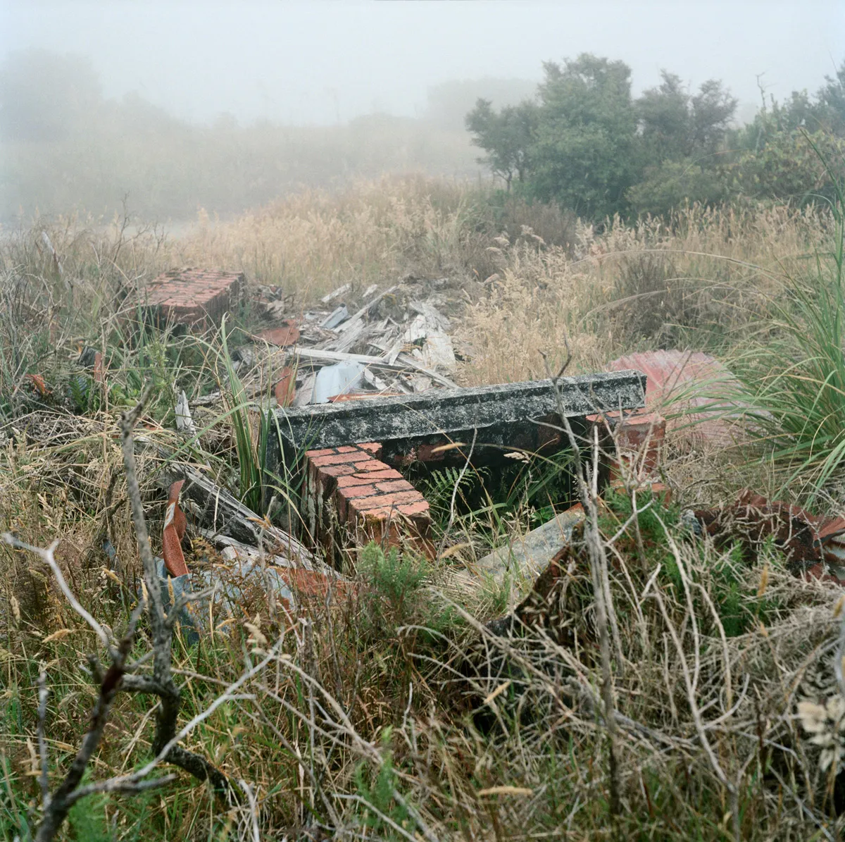 Caroline McQuarrie, Remains of private residence, Denniston, January 2013, 2014