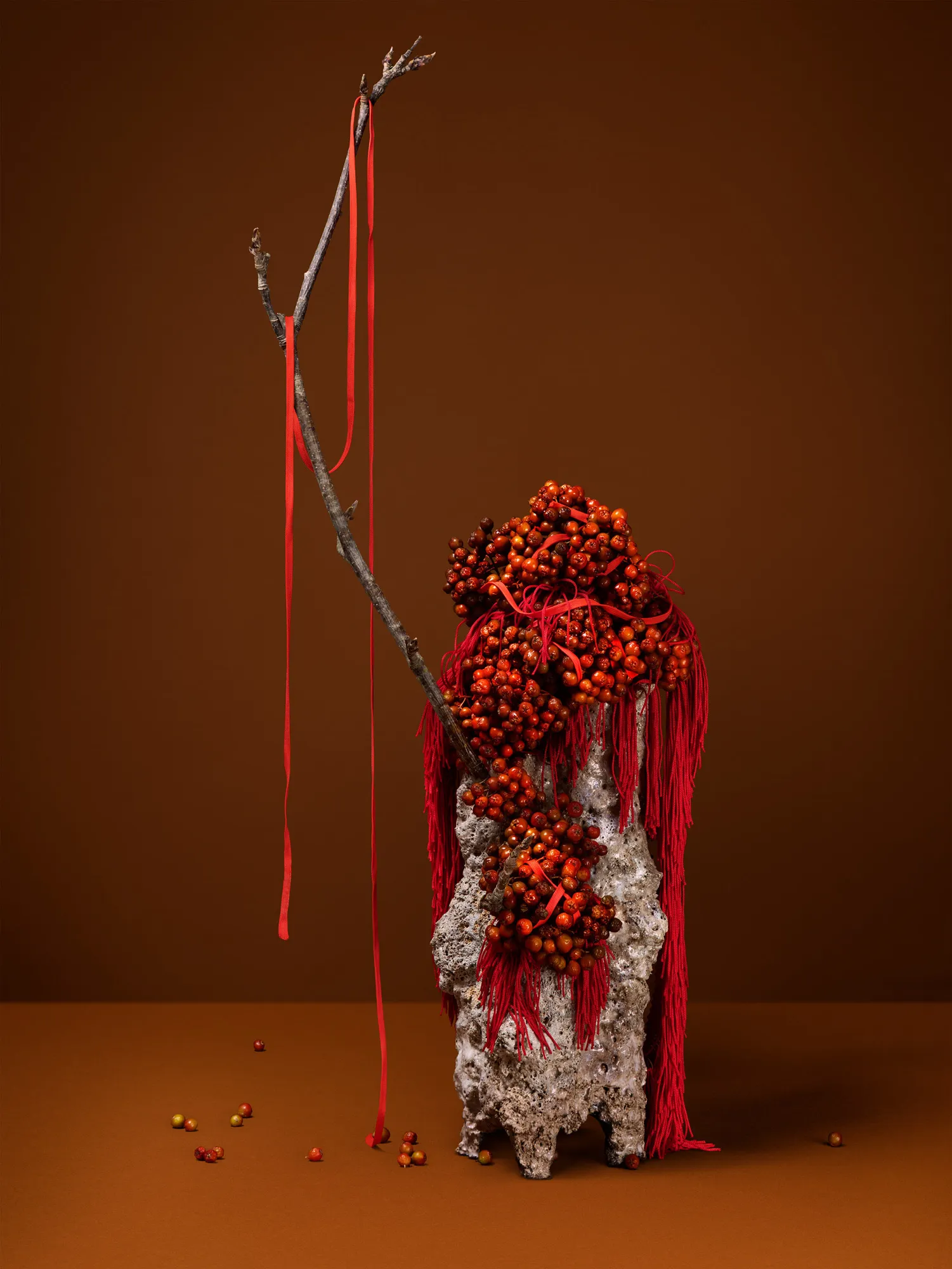 Ann Shelton, Tied together with red thread (rowan, moon tree, mountain ash), 2022 ongoing