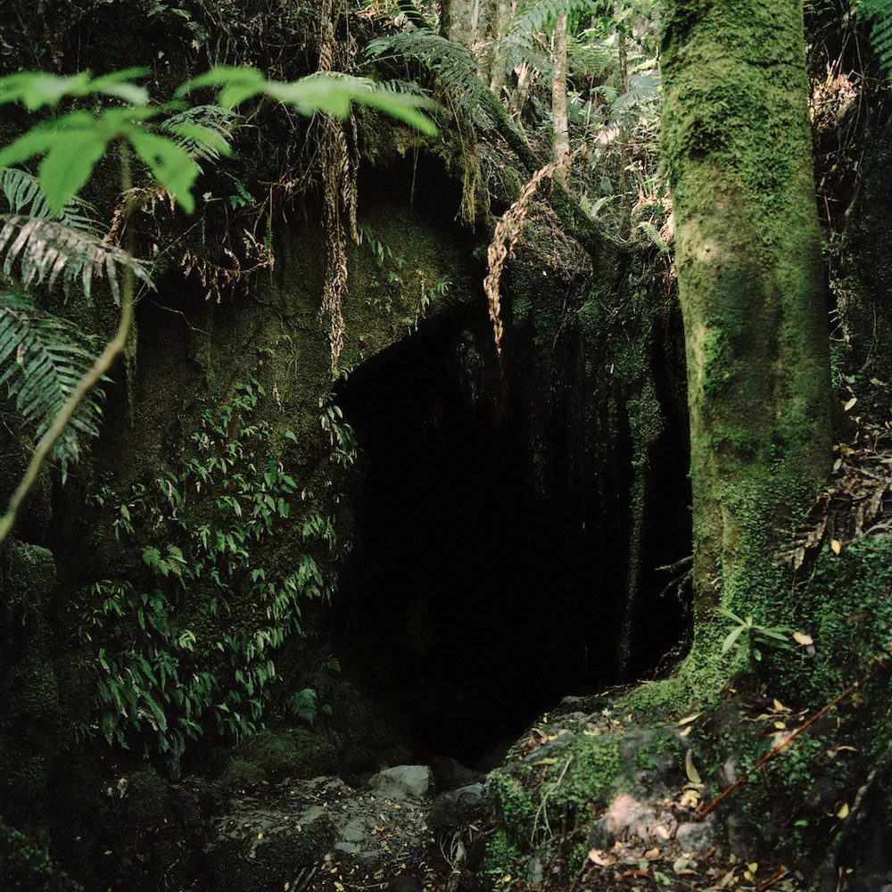 Caroline McQuarrie, Homewardbounder #06, 2014