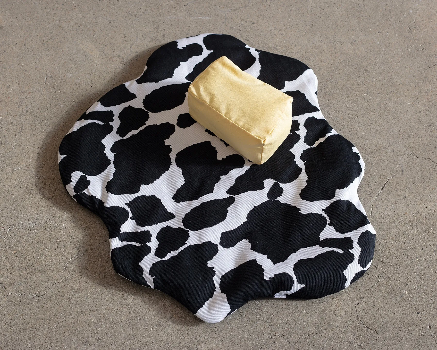 Erica van Zon, Land of Plenty, 2025