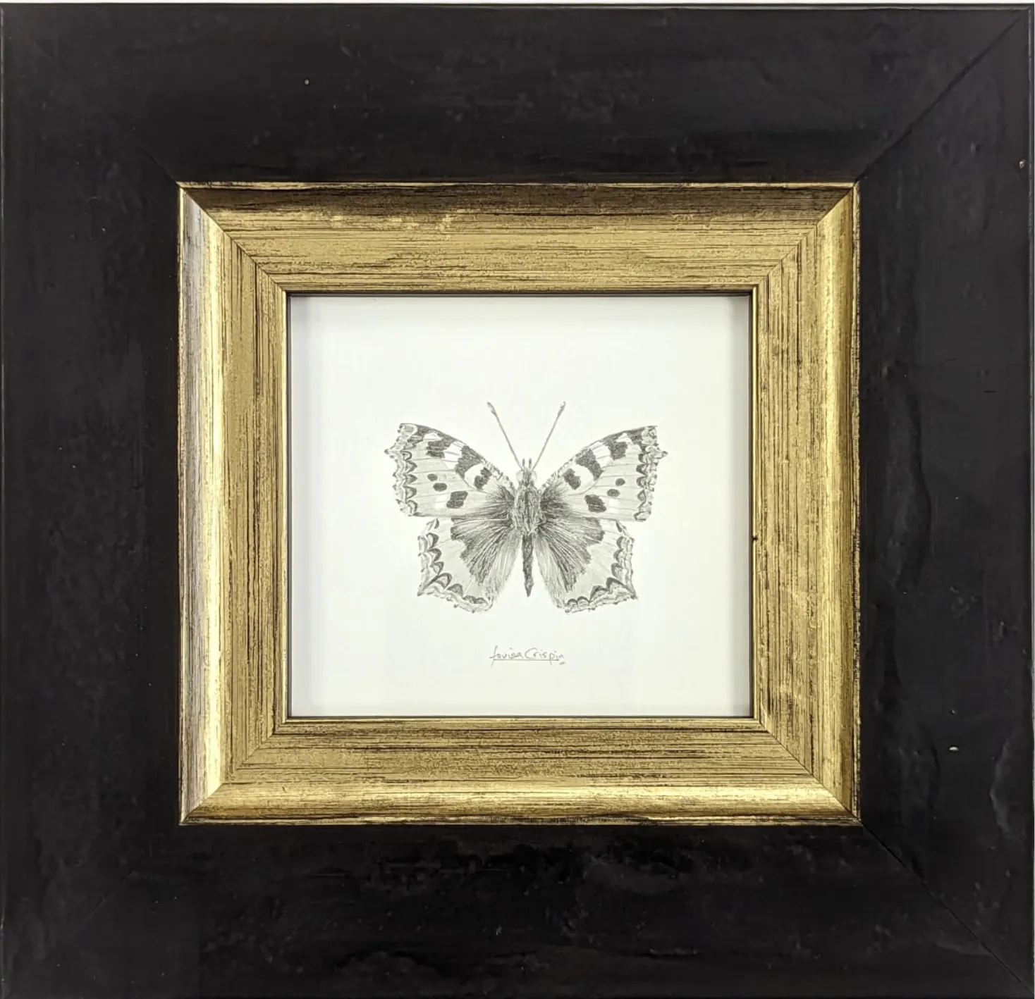 Louisa Crispin, Small Tortoiseshell (ST002)