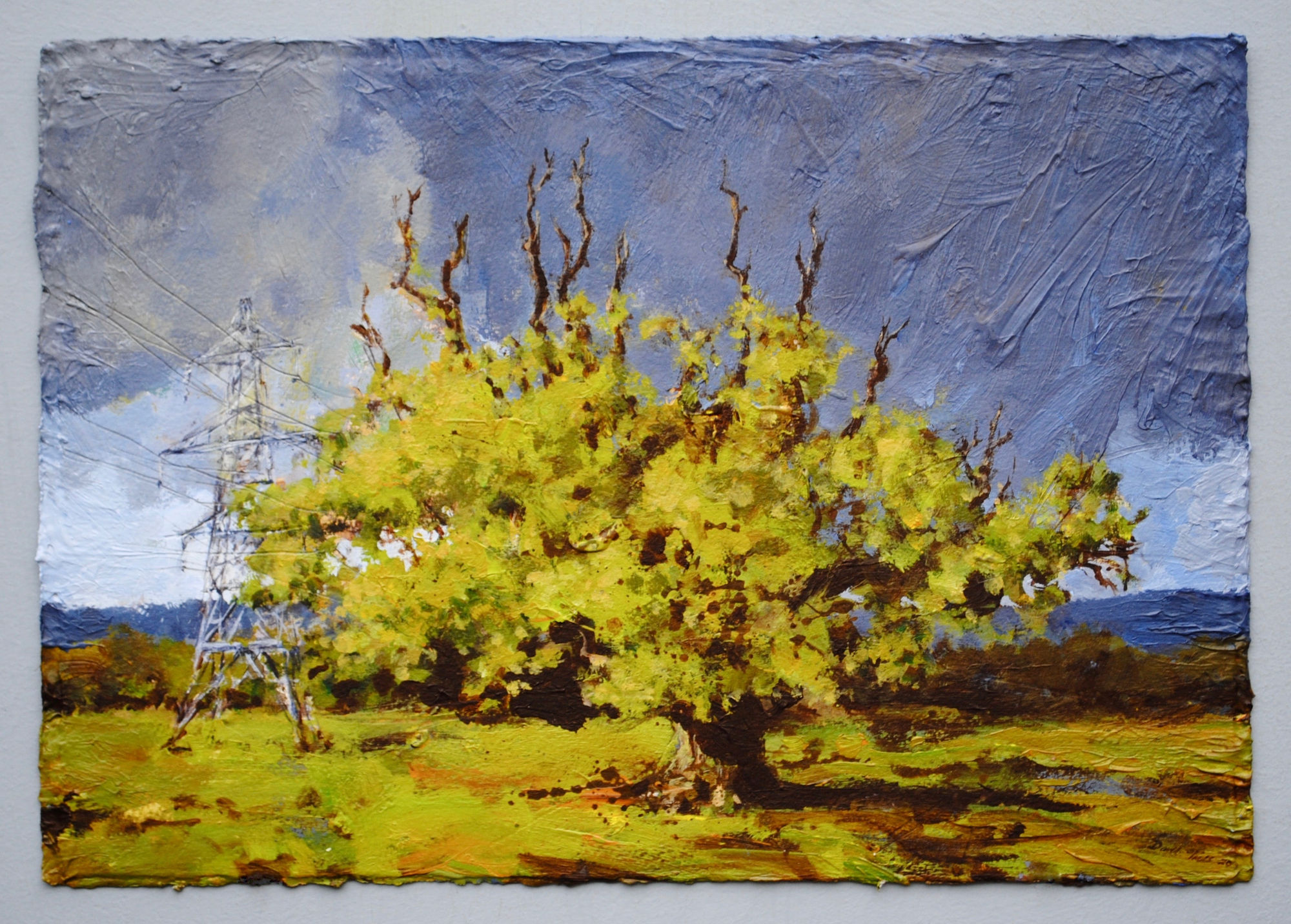 David Tress, Oak and Pylon. Spring, 2020