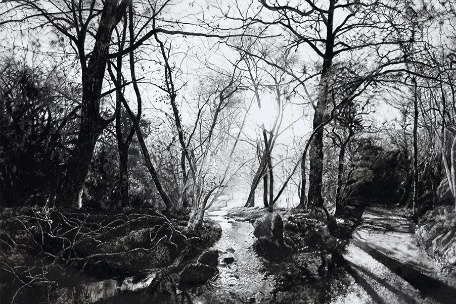 Rosie Sanders, The old road through the woods, 2021