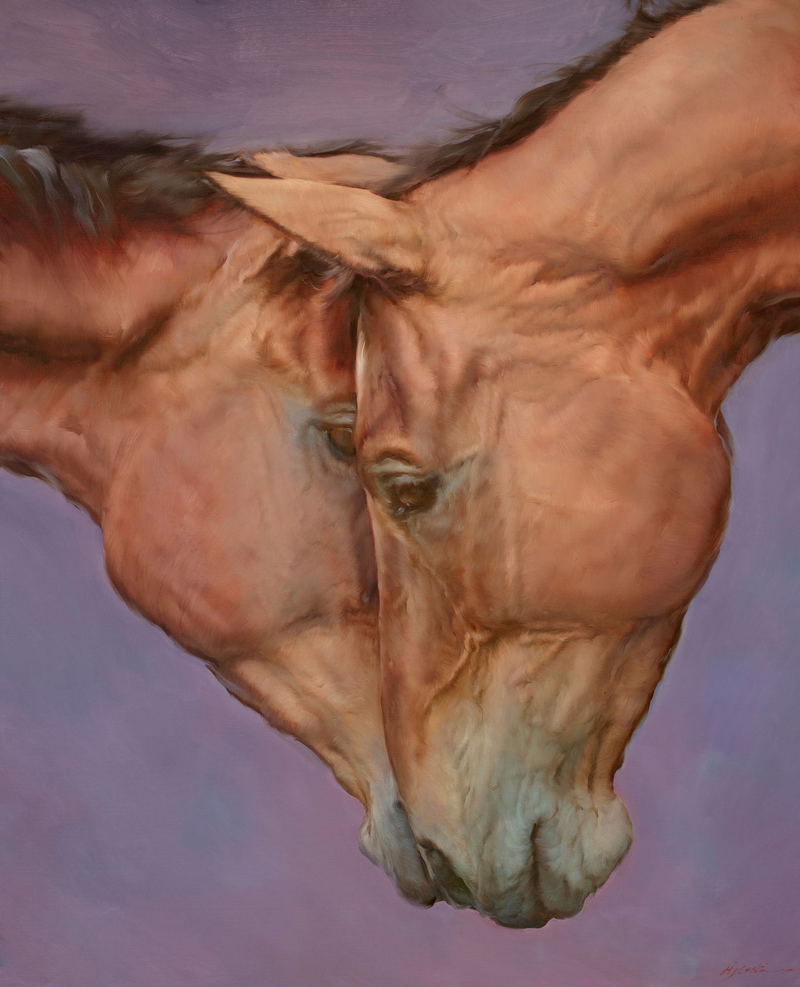 Michael J Austin, Close Comfort, 2023