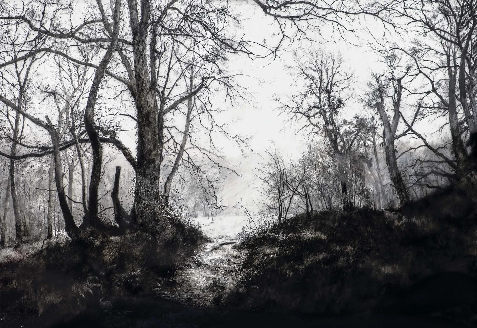 Rosie Sanders, The Misty solitudes, 2021