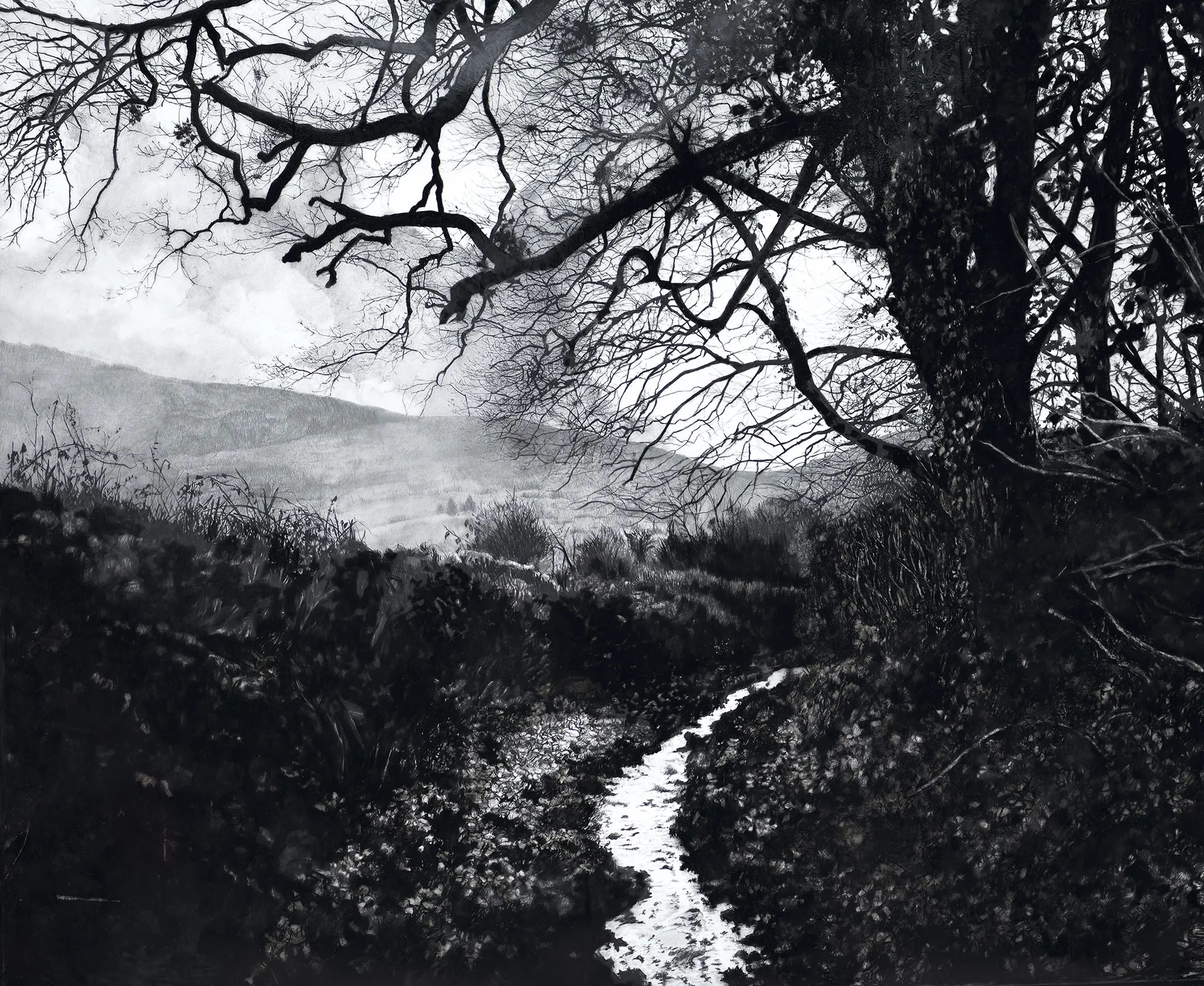 Rosie Sanders, The weakening eye of day, 2021