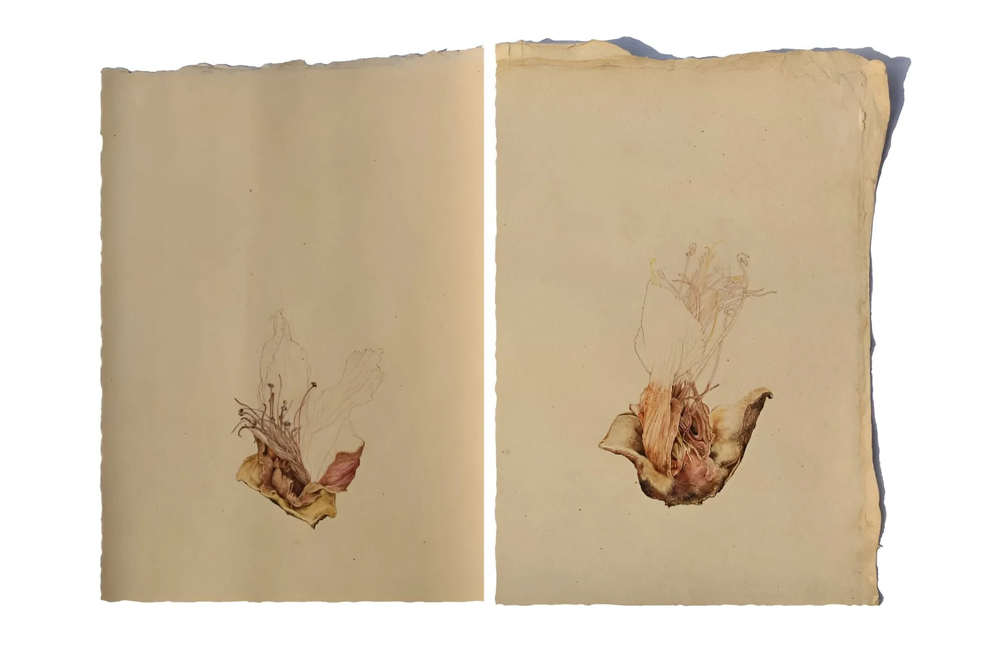 Keerti Pooja, The Remains, 2025