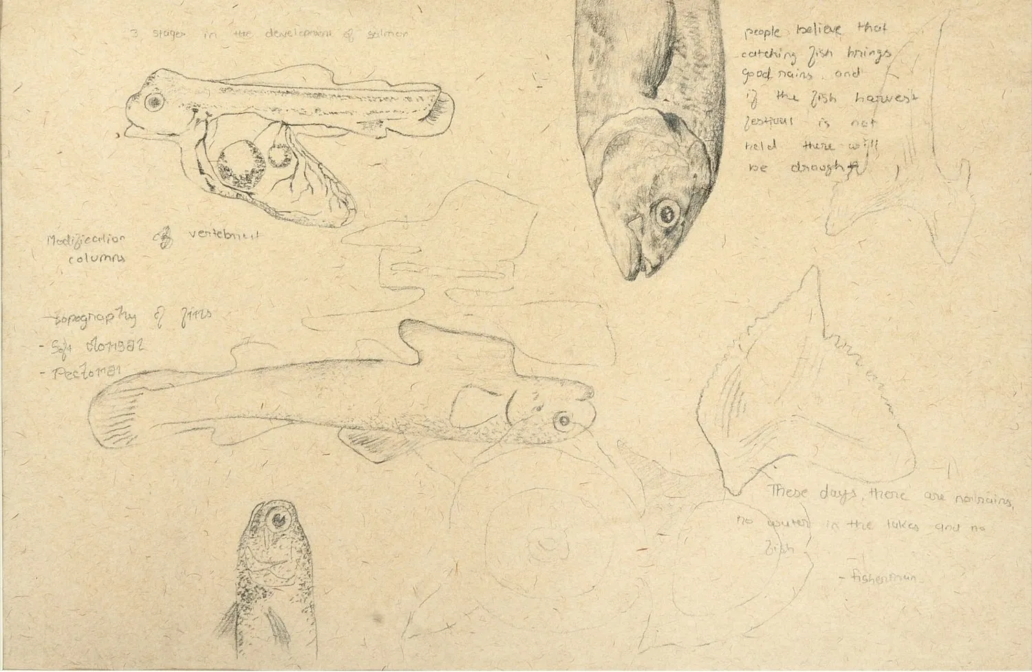 Krupali Kathiriya, S4