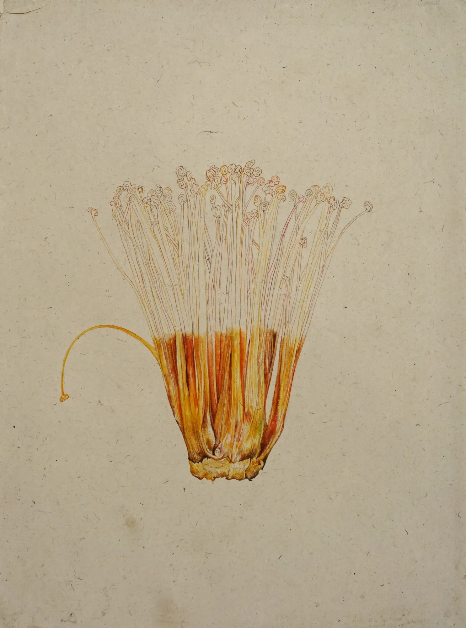 Keerti Pooja, Unfolded Essence, 2025