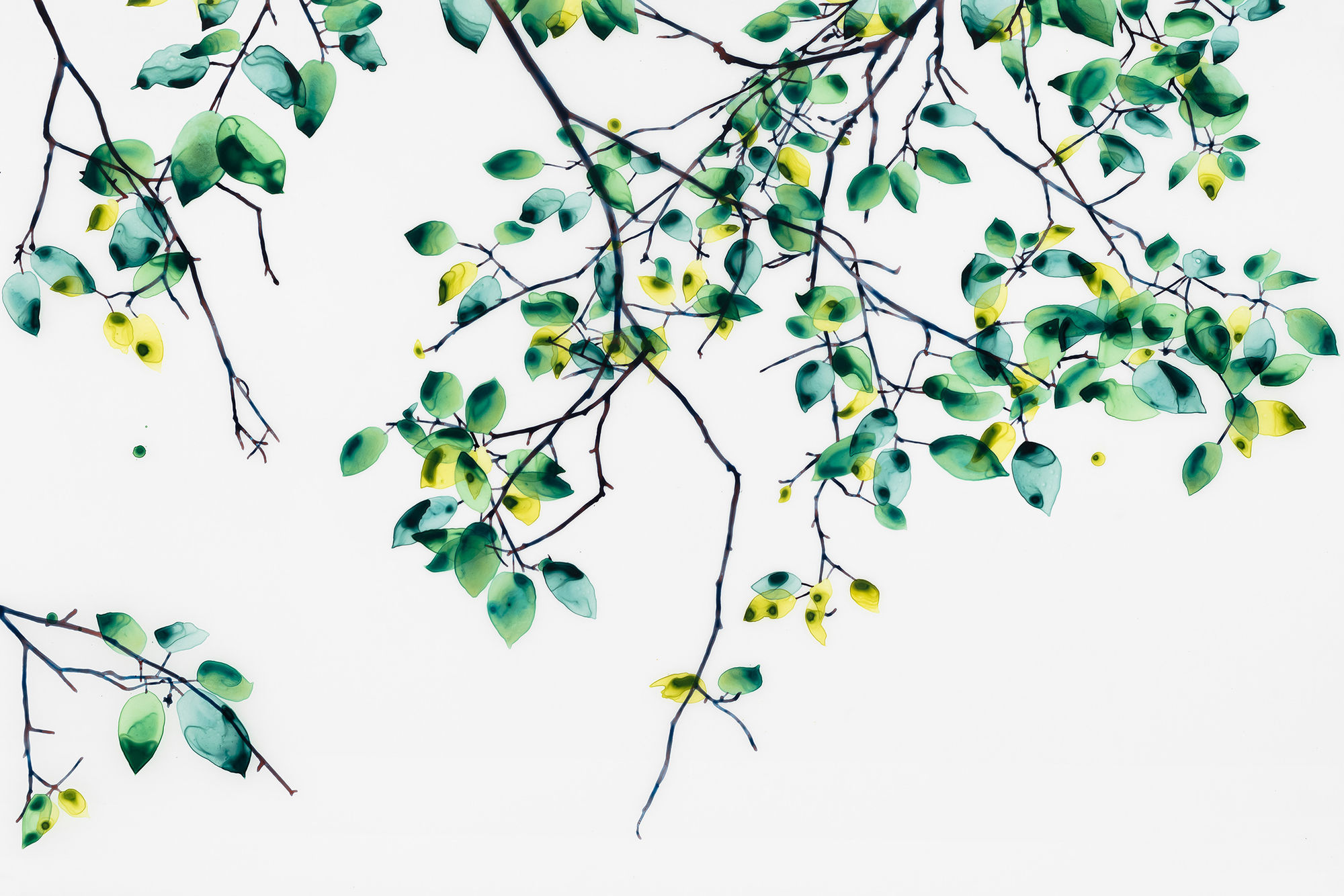 Jackie Battenfield, Clear View, 2018