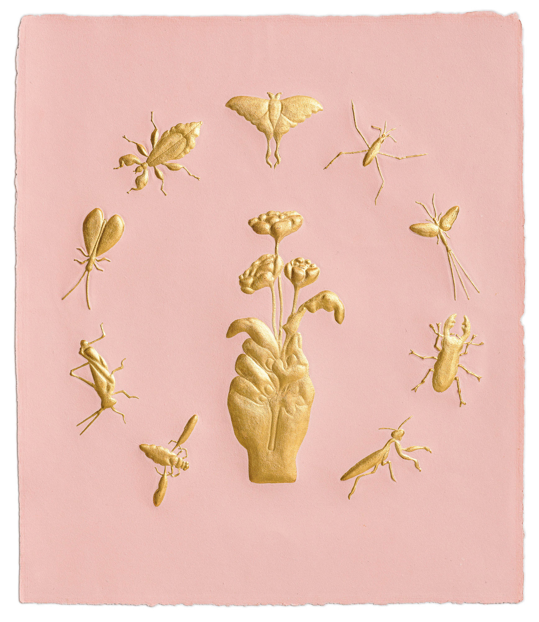 Tricia Wright, Small Matters (hand and flower), 2023