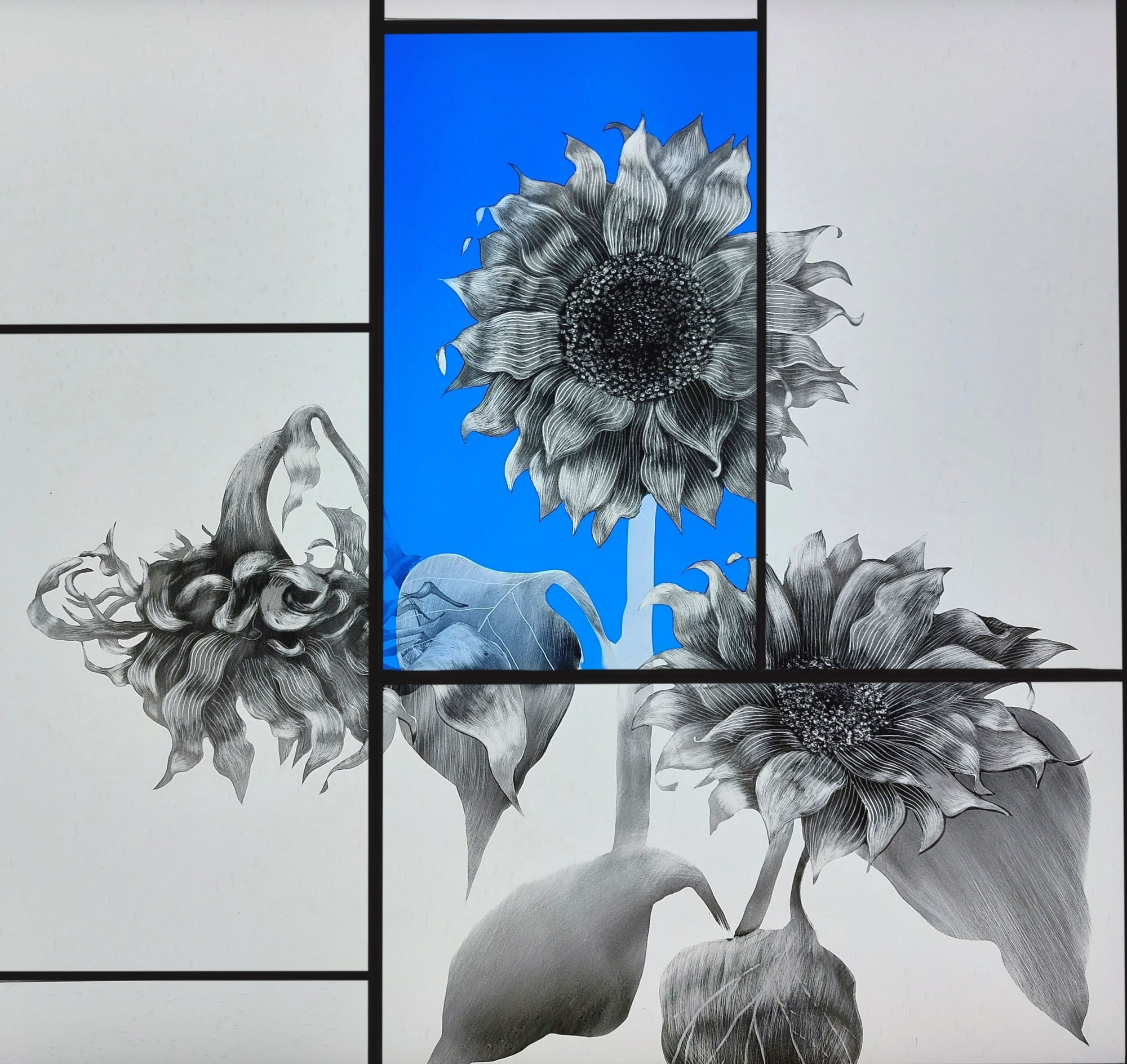 Grace Ayson, 'Sunflowers in black, white and blue, 2024
