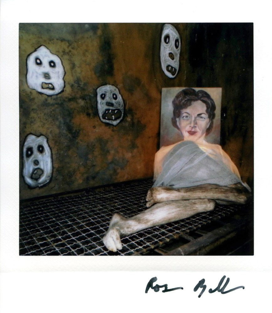 Roger Ballen, Polaroid #11, 2021